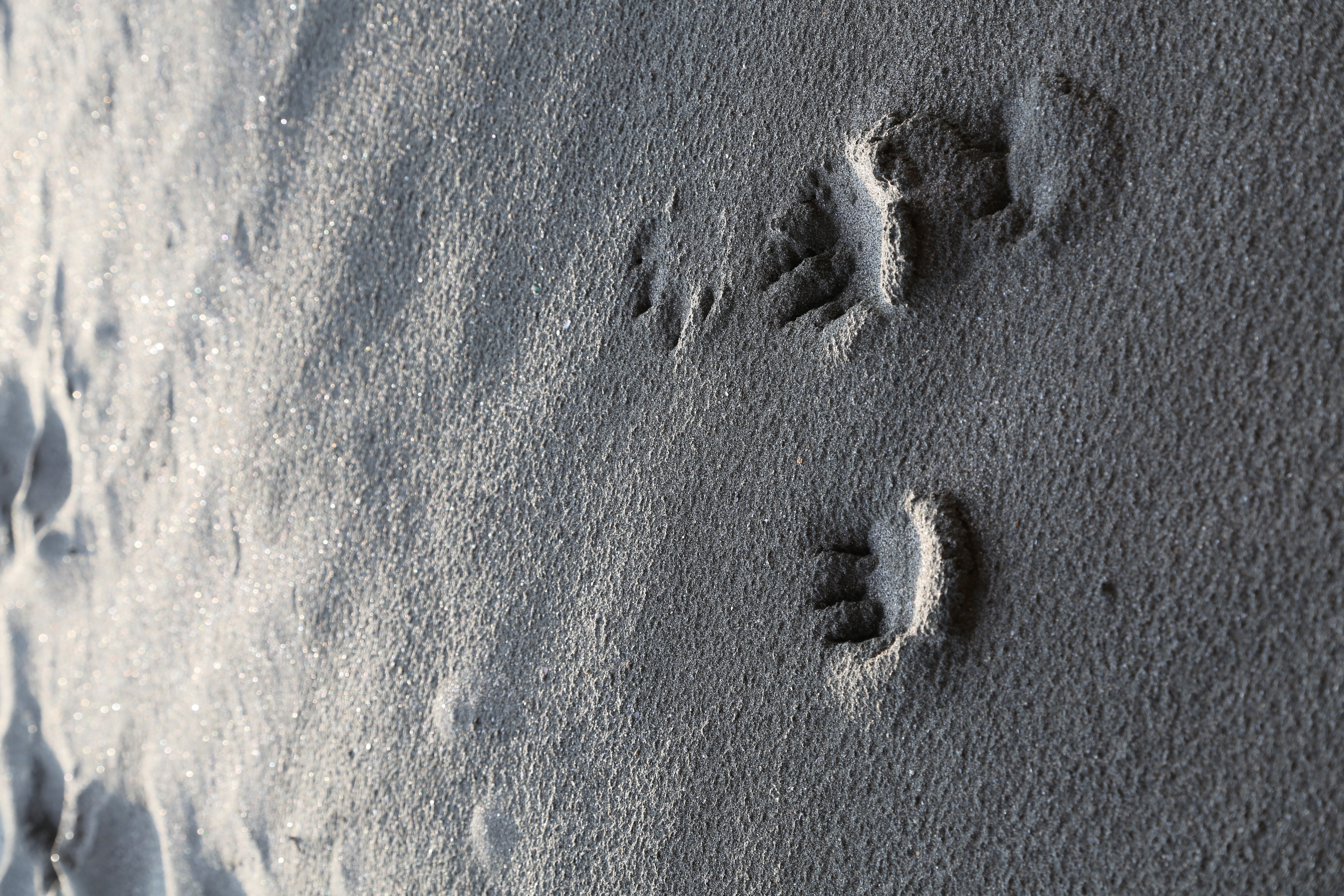 <b>EOS 5D Mark III / EF 24-105mm F4 L IS USM / 3,840×5,760 / 1/80秒 / F8 / -0.3EV / ISO100 / WB：オート / 65mm</b>