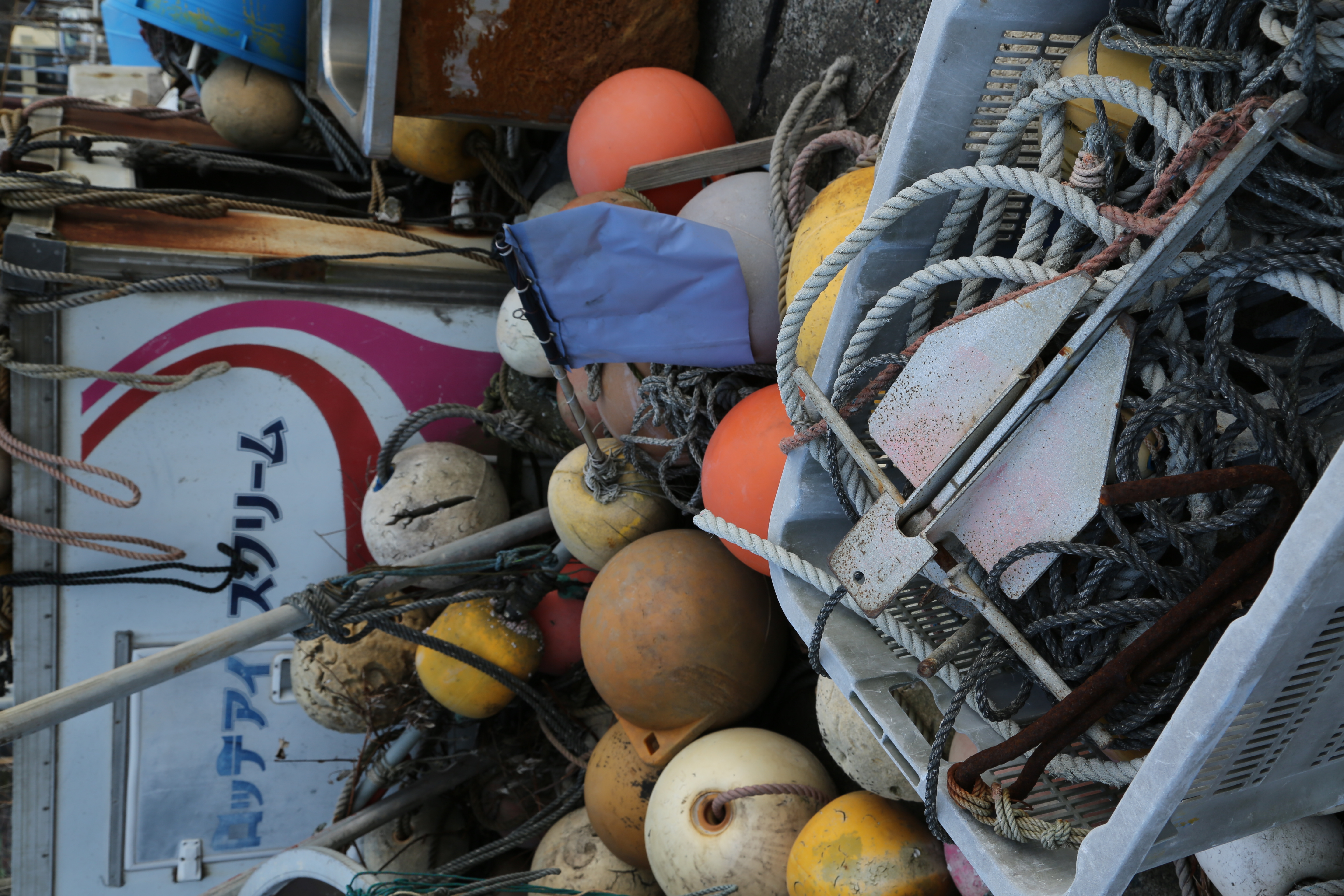 <b>EOS 5D Mark III / EF 24-105mm F4 L IS USM / 3,840×5,760 / 1/50秒 / F11 / 0.0EV / ISO100 / WB：太陽光 / 35mm</b>