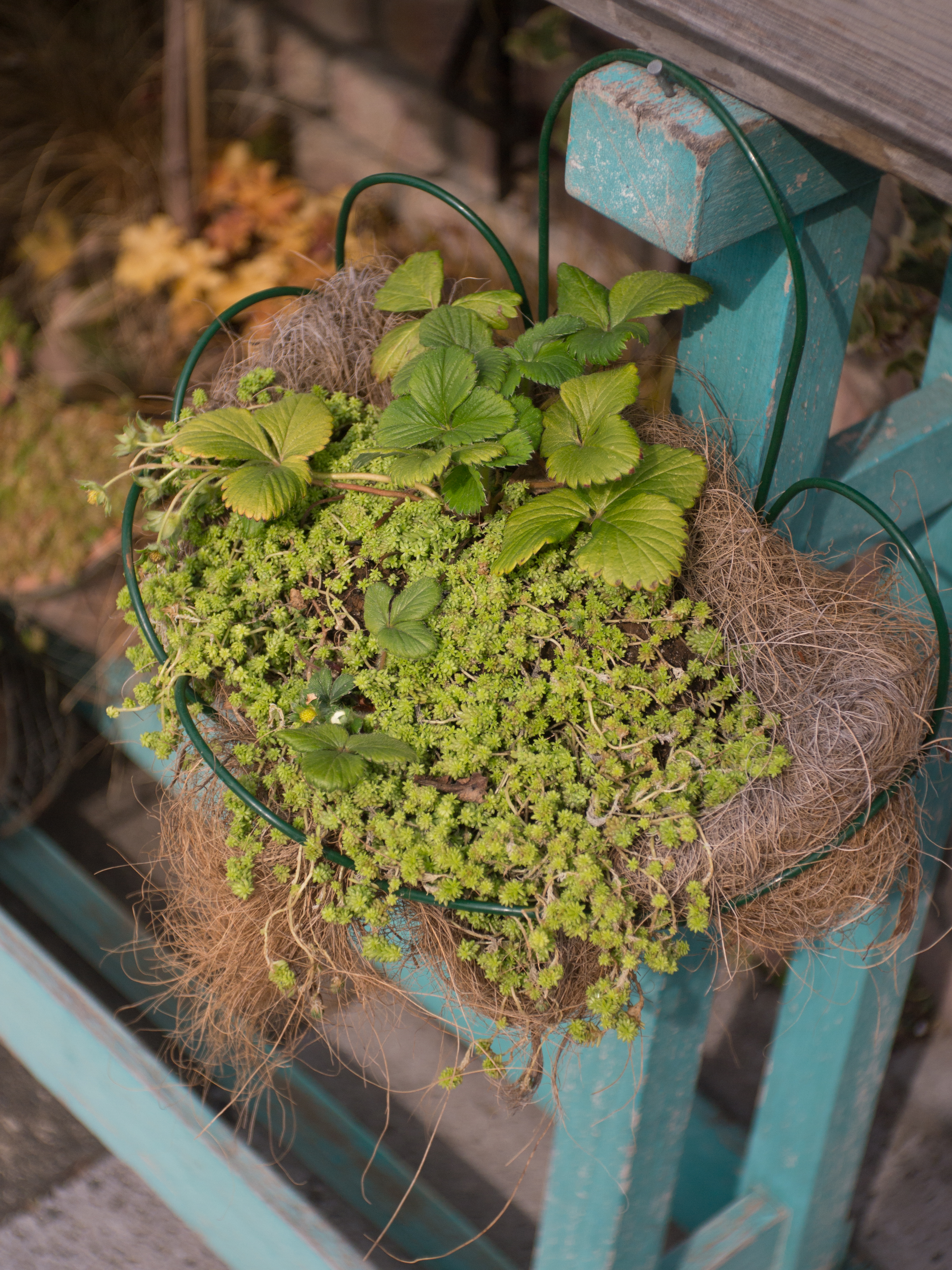 <b>E-PM1 / Elmar 3.5cm F3.5 / 4,032×3,024 / 1/1,600秒 / f3.5 / 0EV / ISO200 / WB:オート / 35mm</b>