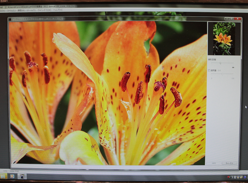 <b>会場ではDLOのデモも見ることができる</b>