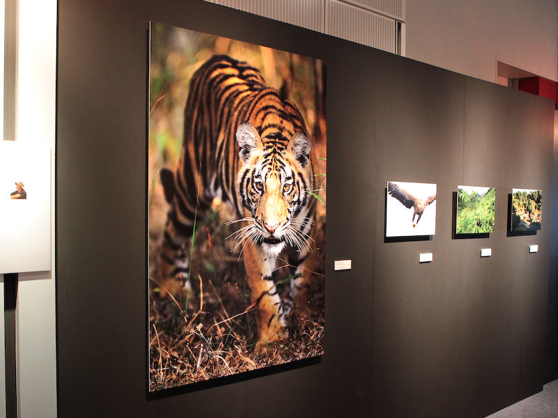 <b>会場には写真家によるEOS 5D Mark IIIの作品を展示</b>