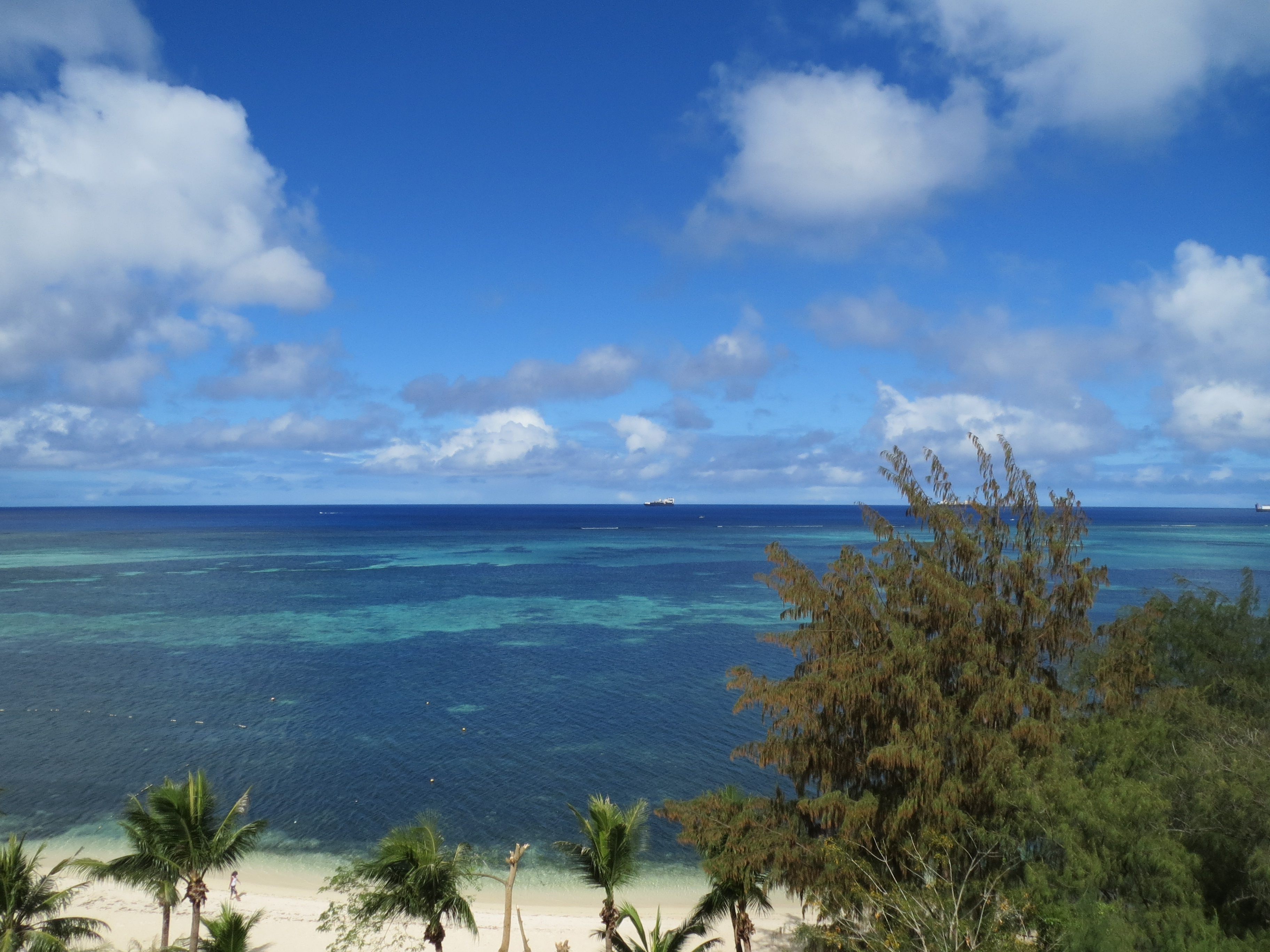 <b>広角端 / IXY 3 / 2.1MB / 3,648×2,736 / 1/2,000秒 / F4 / 0.0EV / ISO160 / WB:オート / 4mm</b>