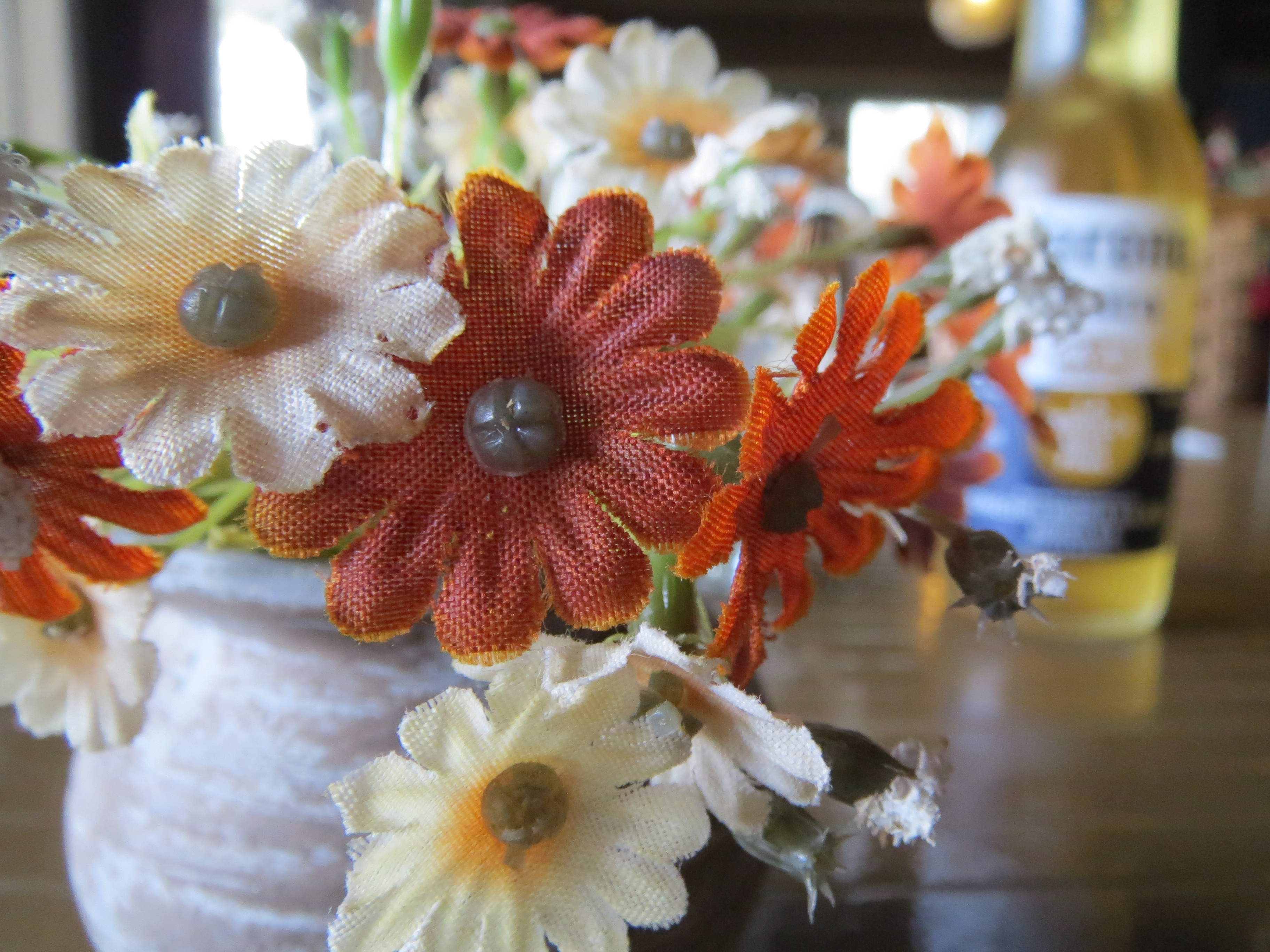 <b>IXY 3 / 2.1MB / 3,648×2,736 / 1/50秒 / F3.4 / 0.0EV / ISO800 / WB:オート / 4mm</b>