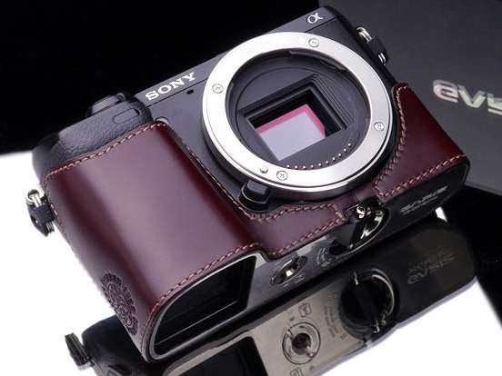 <b>ブラウンの装着例</b>