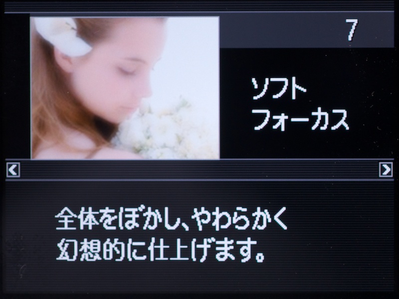 <b>アートショット：ソフトフォーカス</b>