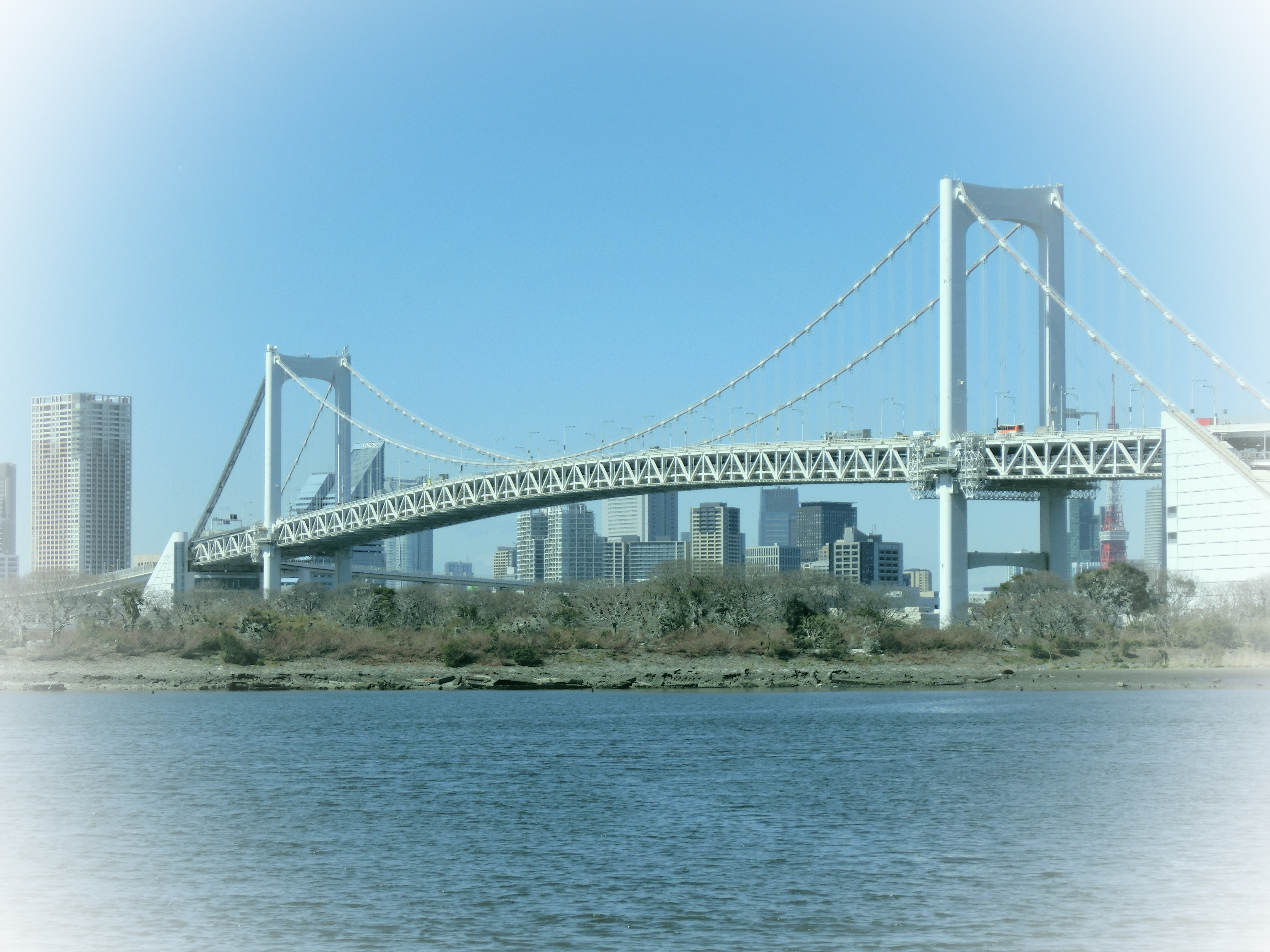 <b>アートショット：ライトトーンLEVEL1</b>