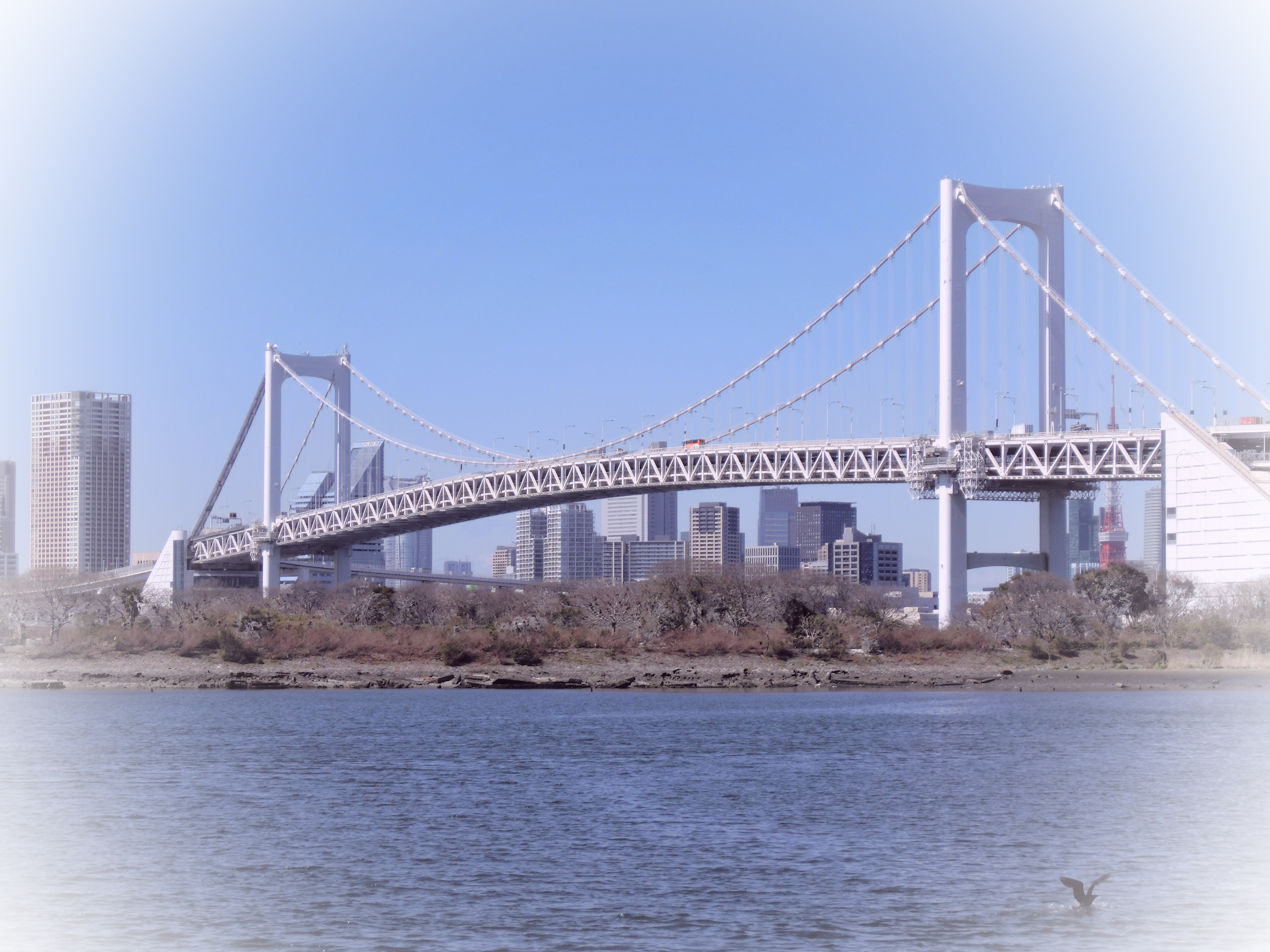 <b>アートショット：ライトトーンLEVEL2</b>