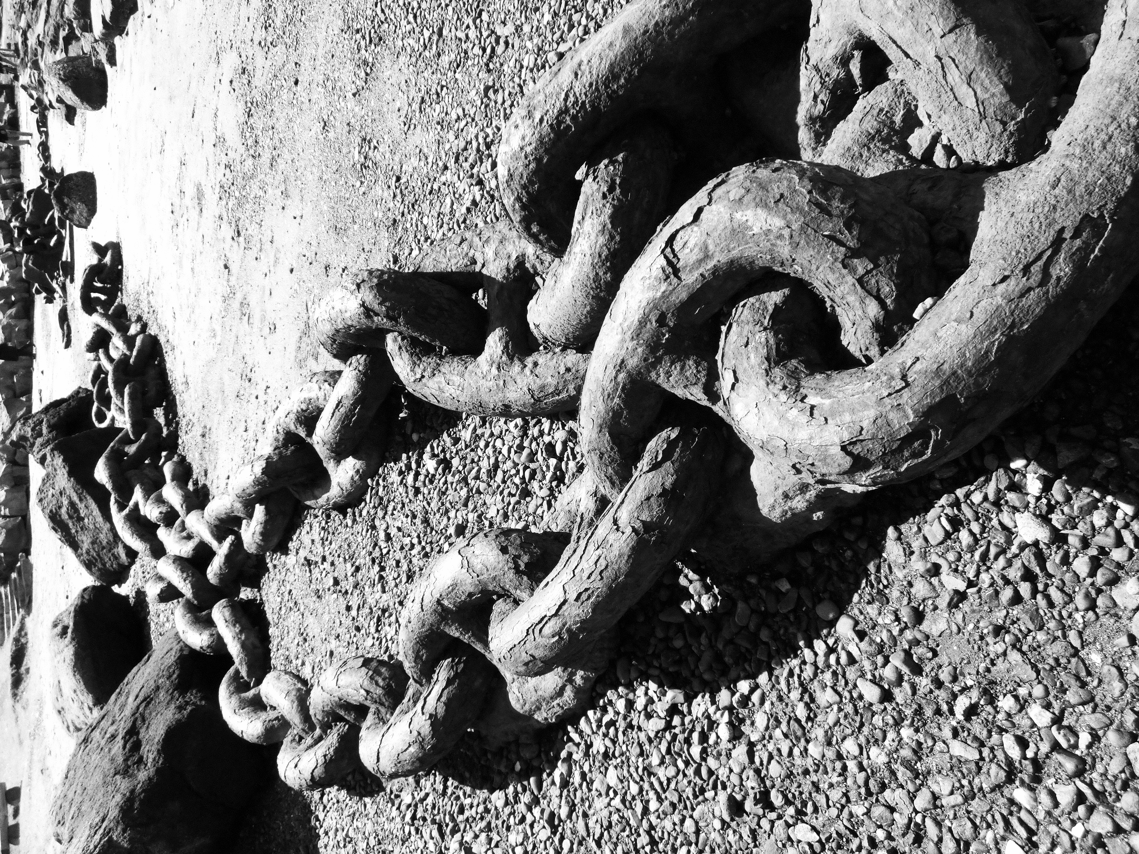 <b>アートショット：モノクロLEVEL1</b>