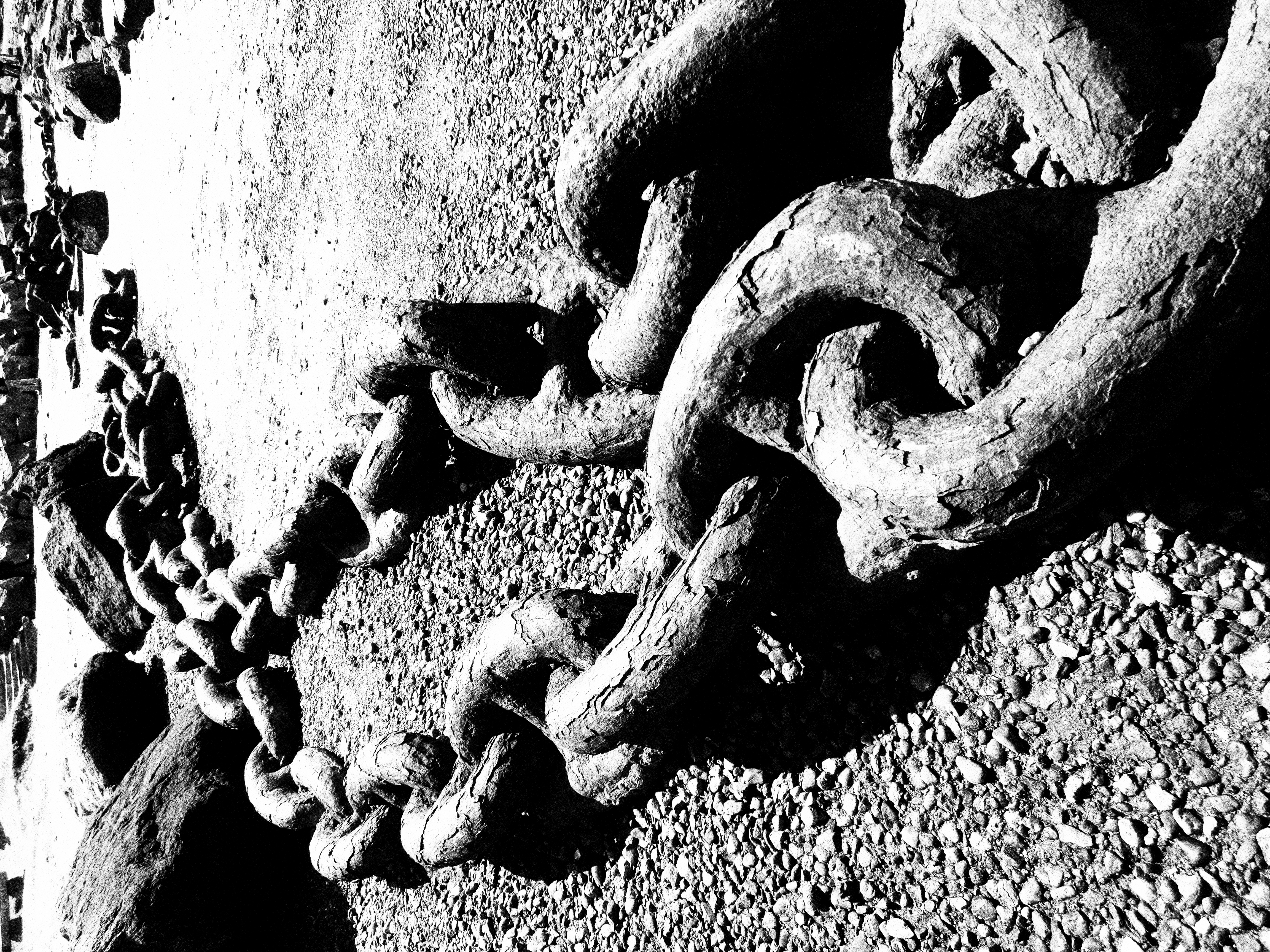 <b>アートショット：モノクロLEVEL3</b>