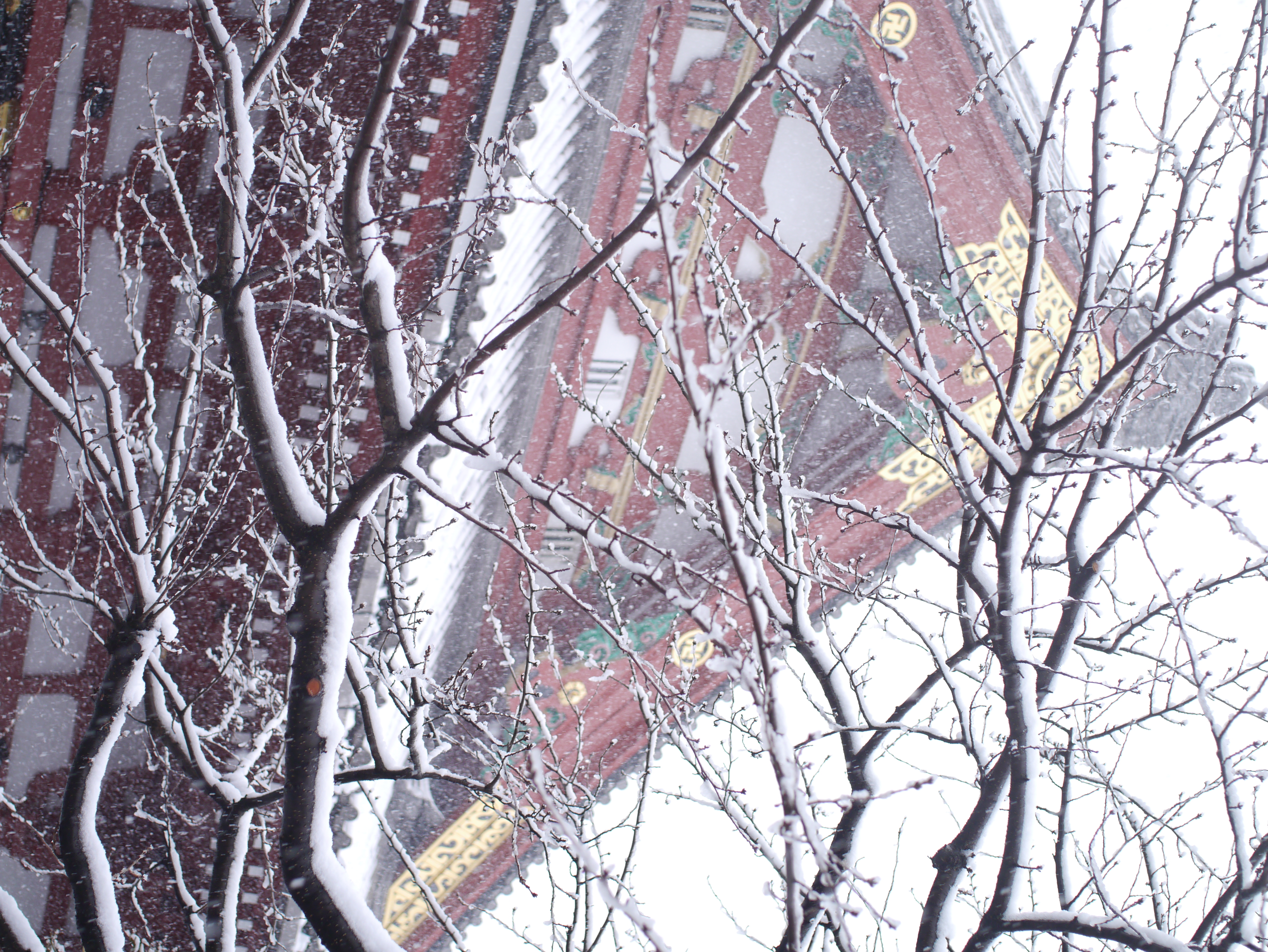 <b>DMC-GX1 / SIGMA 30mm F2.8 EX DN / 約8.3MB / 3,448×4,592 / 1/320秒 / F2.8 / +1.7EV / ISO200 / WB:晴天 / 30mm</b>