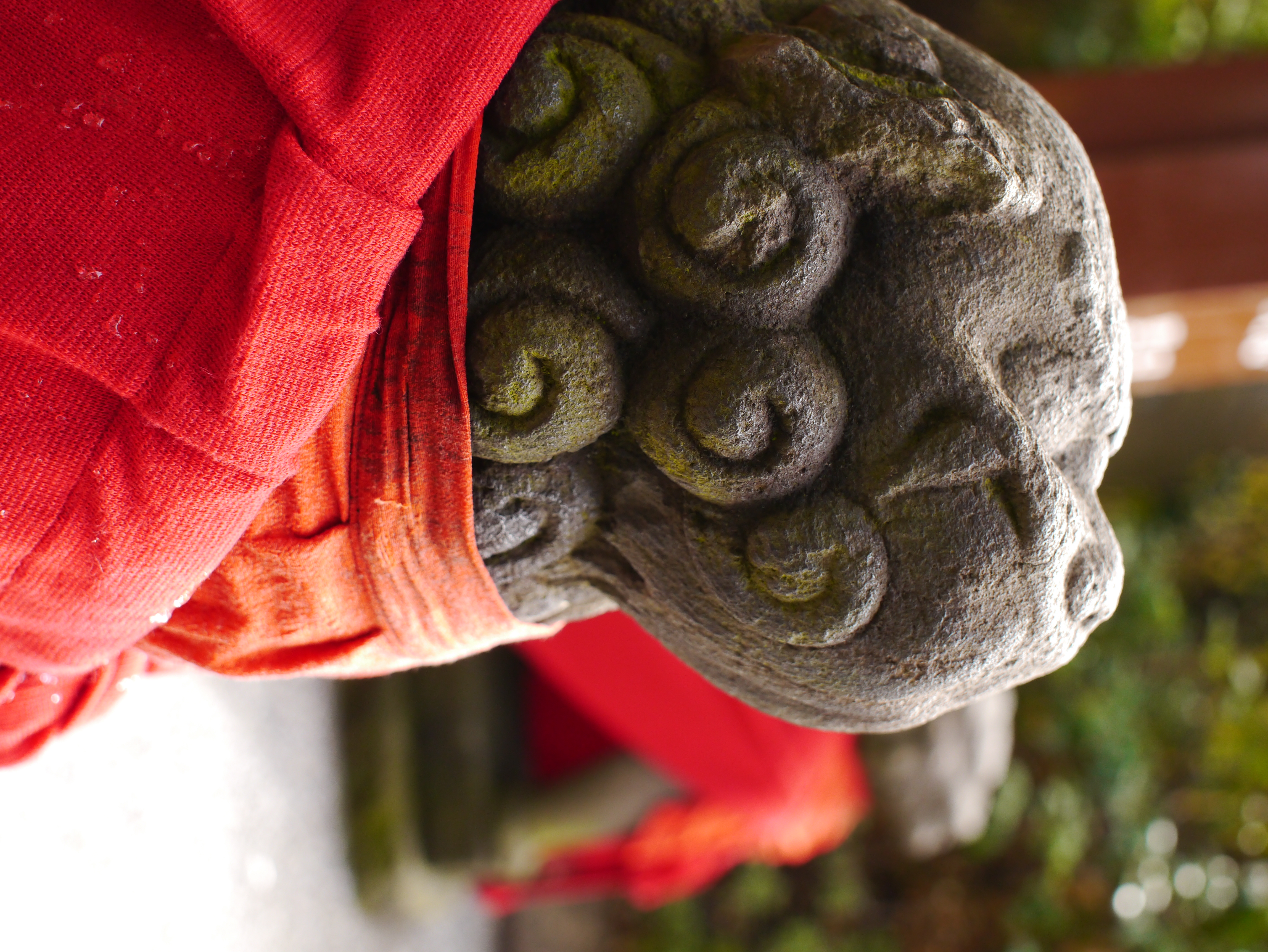 <b>DMC-GX1 / SIGMA 30mm F2.8 EX DN / 約7.8MB / 3,448×4,592 / 1/320秒 / F4 / +0.3EV / ISO400 / WB:曇り / 30mm</b>