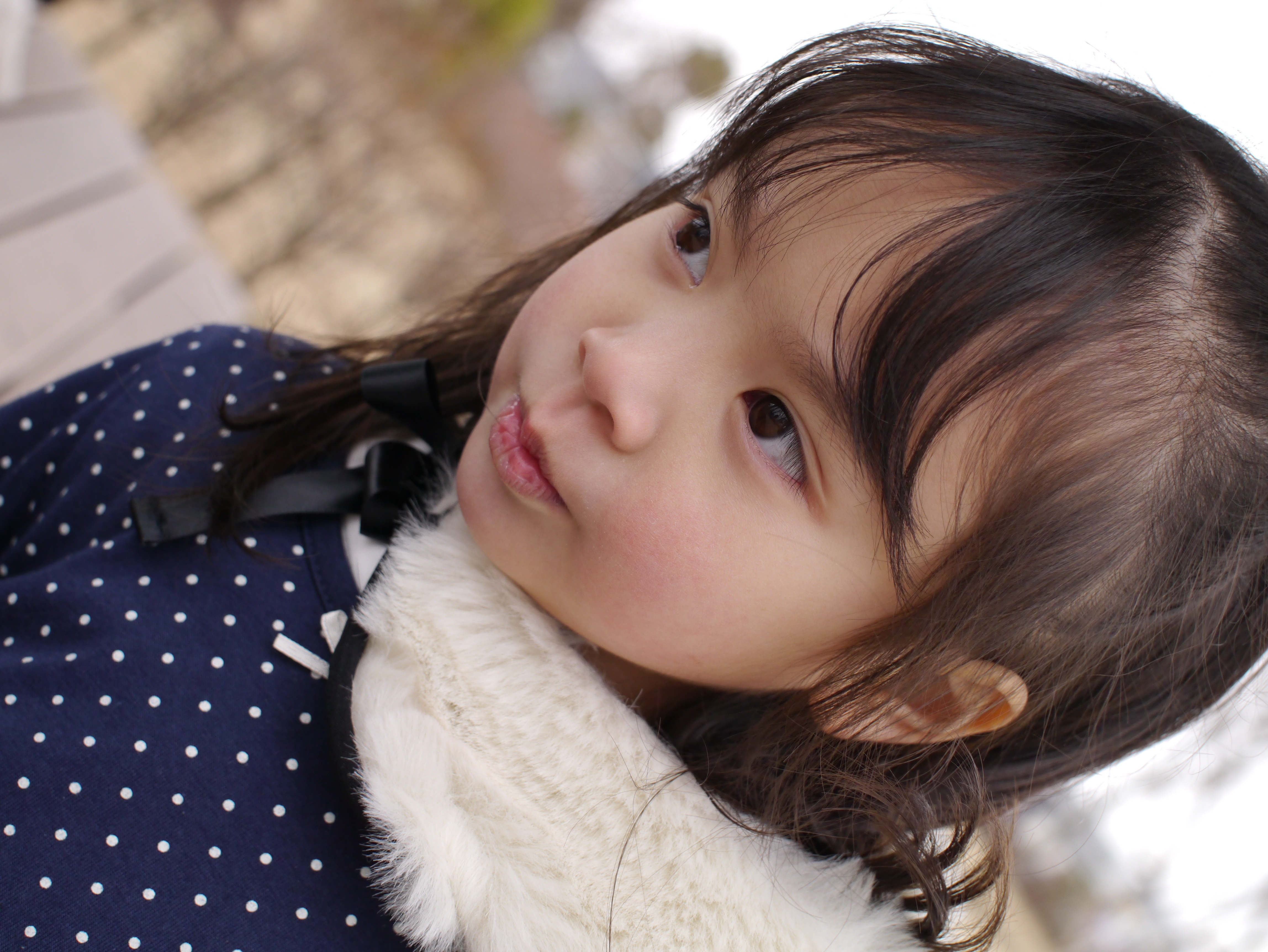 <b>DMC-GX1 / SIGMA 30mm F2.8 EX DN / 約6.1MB / 3,448×4,592 / 1/500秒 / F4 / +0.7EV / ISO400 / WB:曇り / 30mm</b>