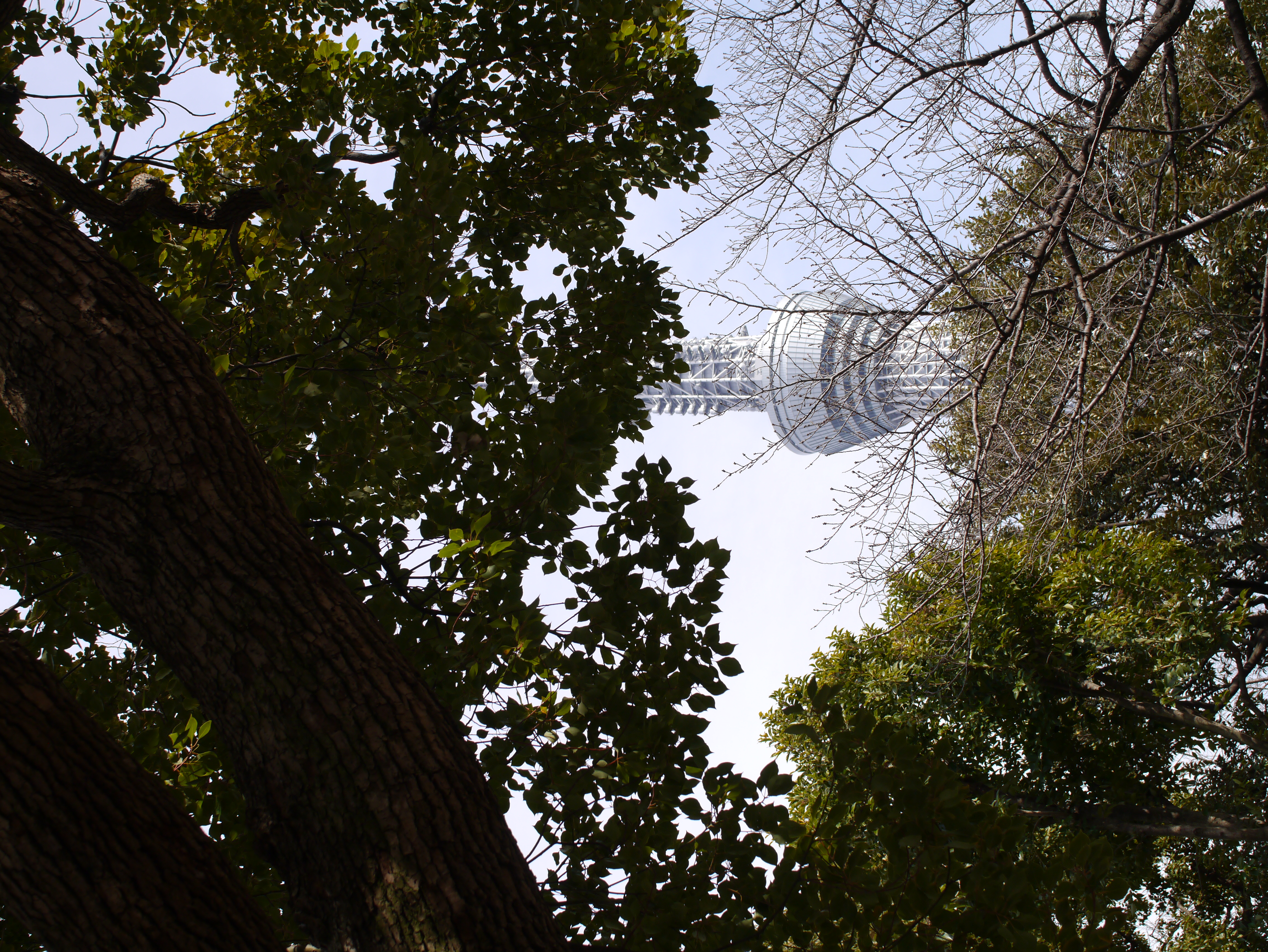 <b>DMC-GX1 / SIGMA 30mm F2.8 EX DN / 約8.4MB / 3,448×4,592 / 1/500秒 / F5.6 / +0.7EV / ISO160 / WB:オート / 30mm</b>