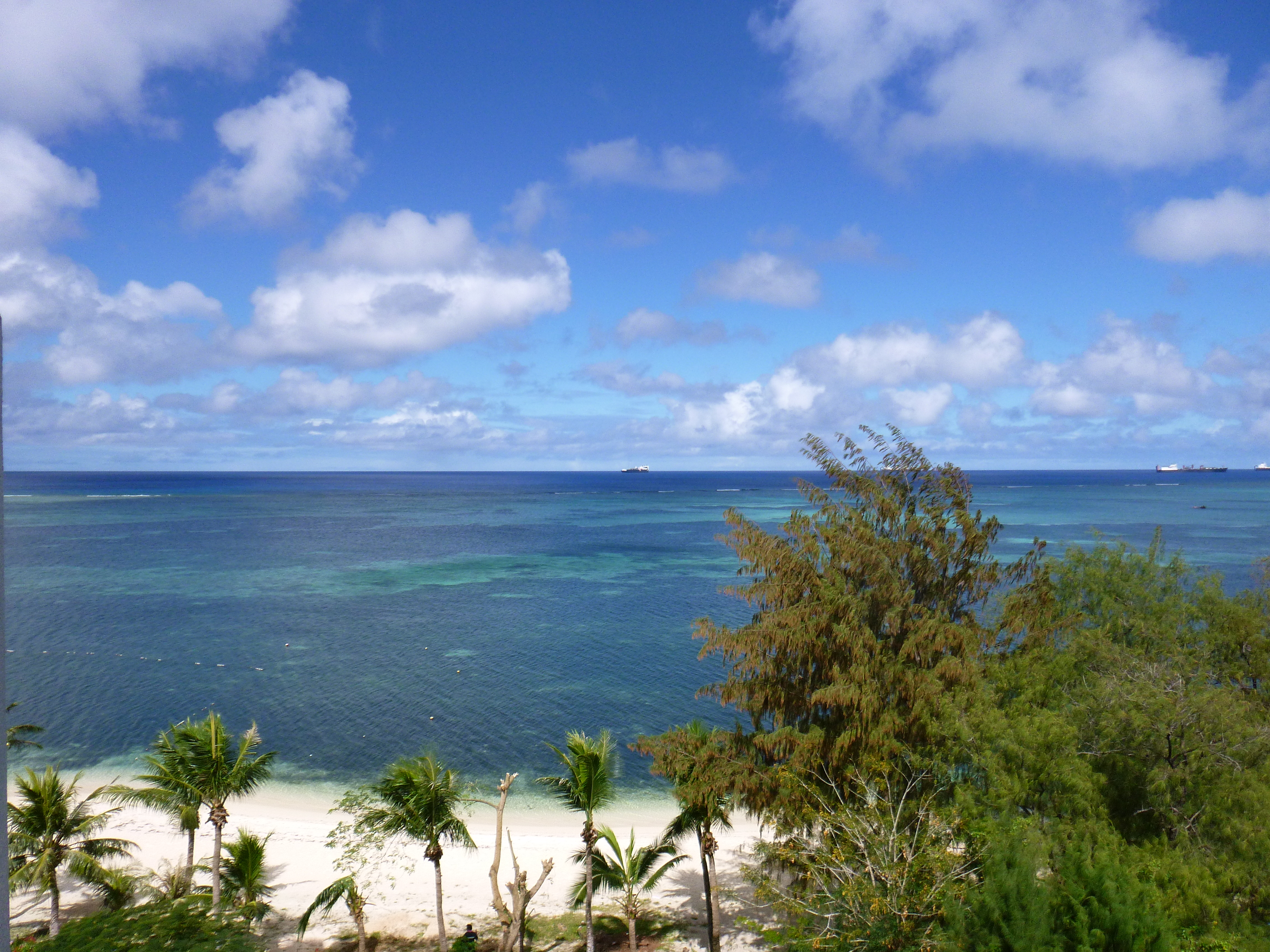 <b>広角端 / DMC-FT20 / 約6.0MB / 4,608×3,456 / 1/1,000秒 / F3.9 / 0.0EV / ISO100 / WB:オート / 4.5mm</b>