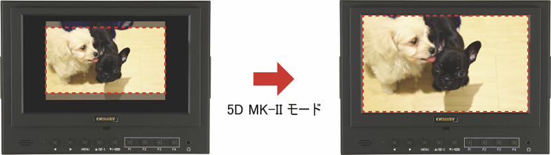 <b>EOS 5D Mark IIモードの表示例</b>