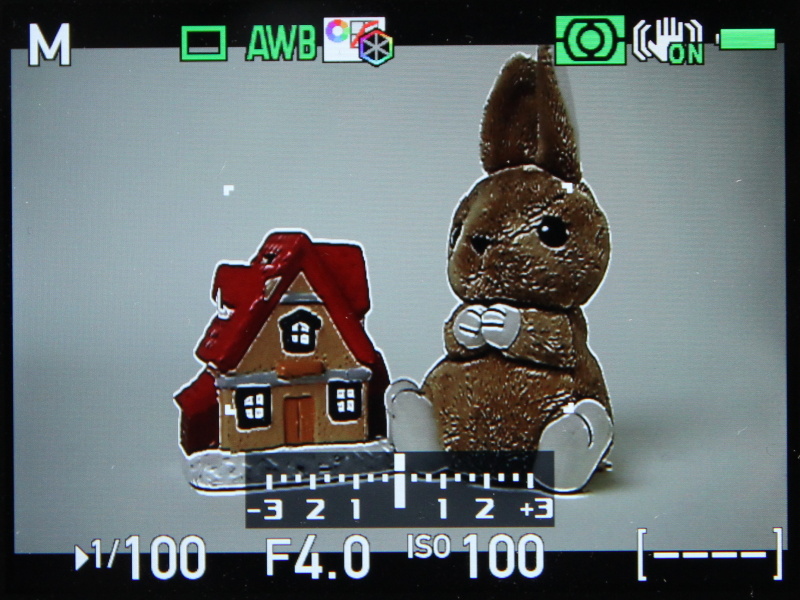 <b>マニュアル露出の撮影画面。グリーンボタンに割り当てたピーキング表示を行なっているところ</b>