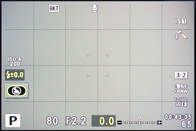 <b>3：2比率で「Natural」+アートフィルター×10種類+RAW時の撮影可能コマ数。装填しているカードの容量は8GBなんですけどね</b>