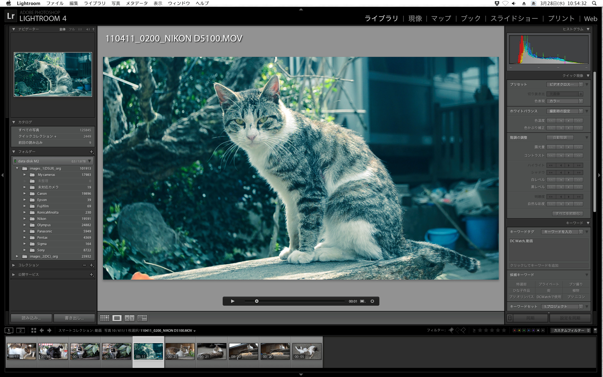 <b>内蔵の「ビデオクロスプロセス 2」を適用したもの。こういうのができるとけっこう遊べる。</b>