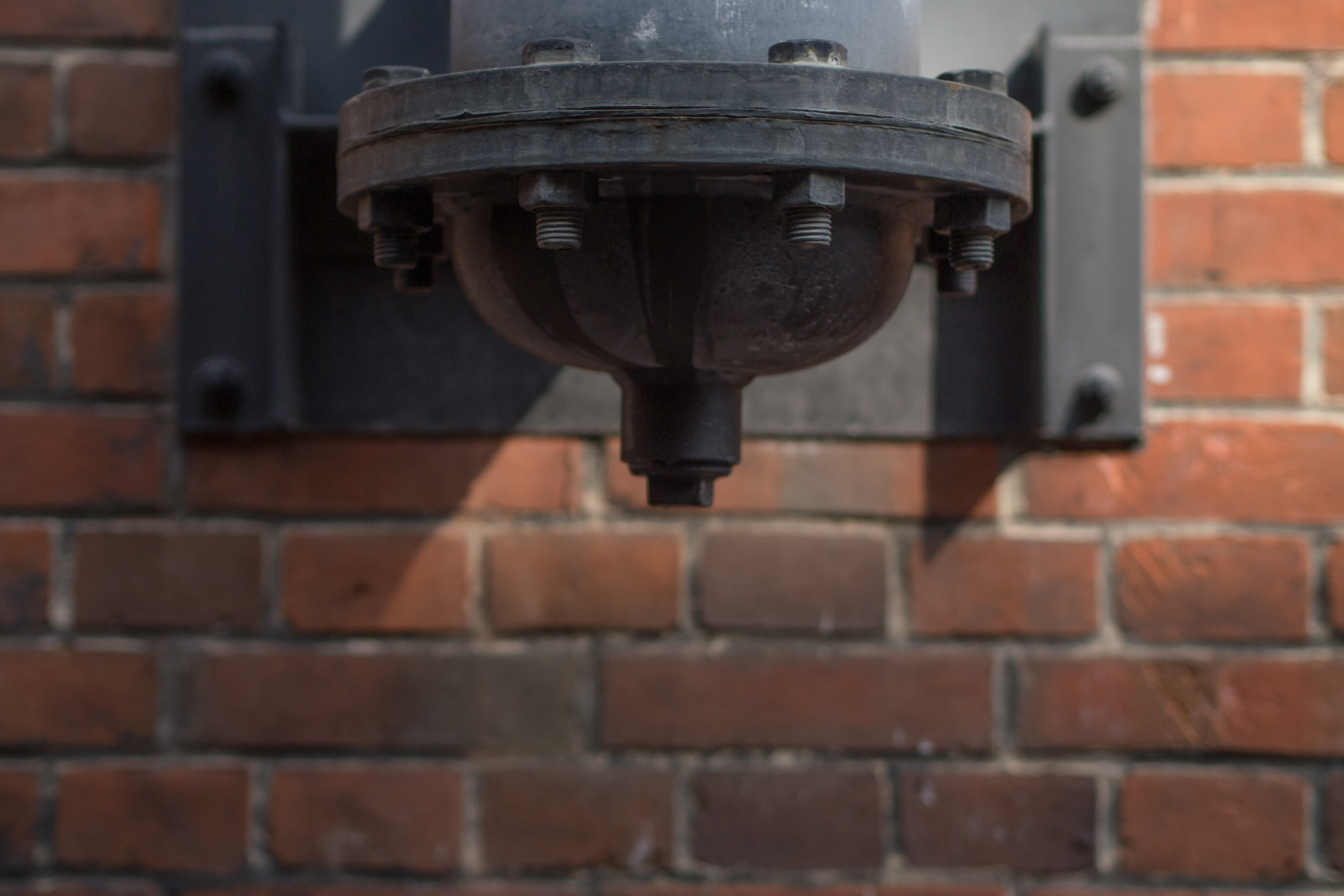 <b>「補正ブラシ」を使って部分的にノイズ軽減を行なったもの。画面全体のシャープさをそこなわずに、ノイズが目立つ部分だけ滑らかにできる。</b>