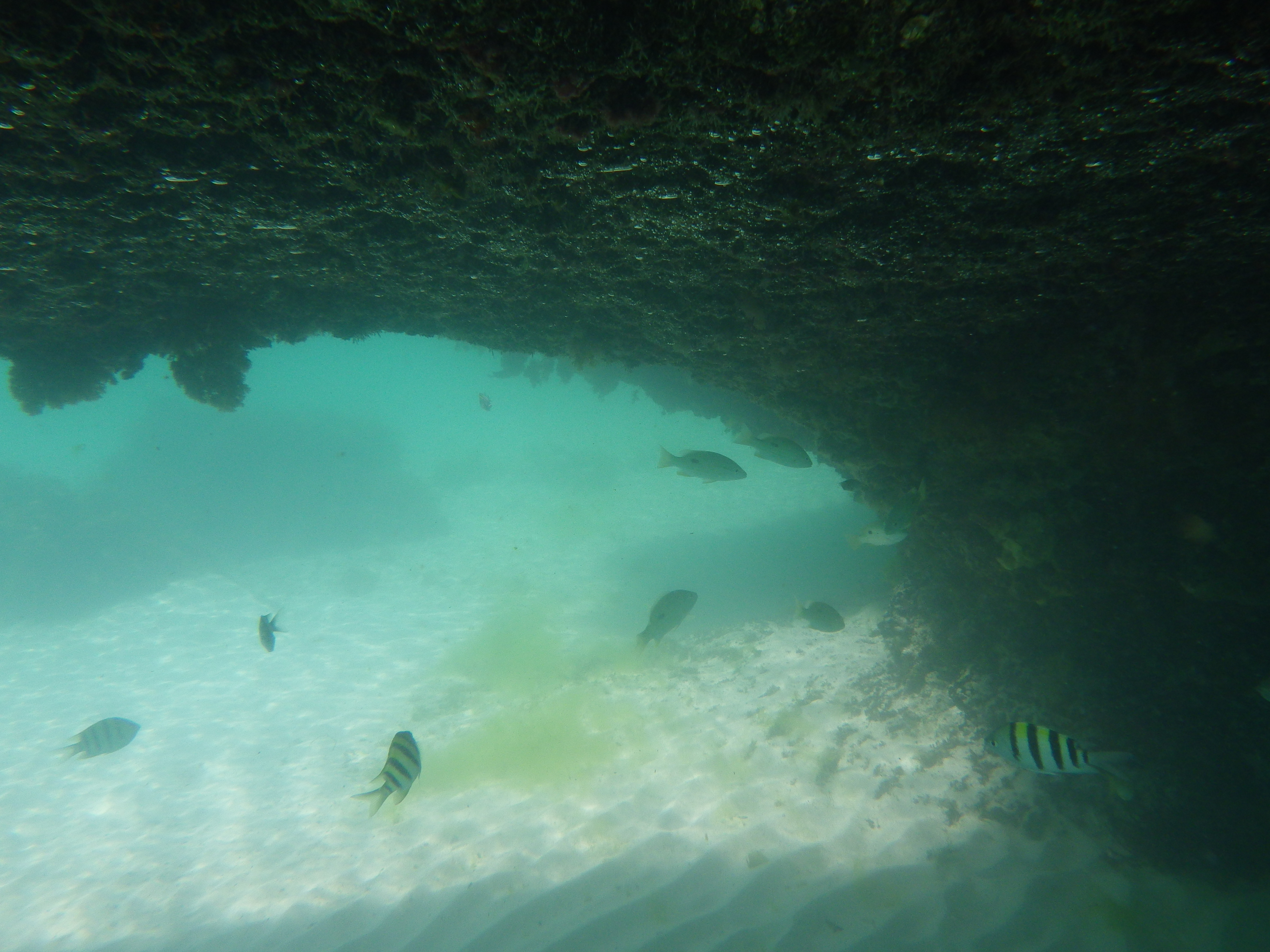 <b>PENTAX Optio WG-2 GPS / 約4.5MB / 4,608×3,456 / 1/500秒 / F4.2 / 0.0EV / ISO125 / WB:オート / 5mm</b>