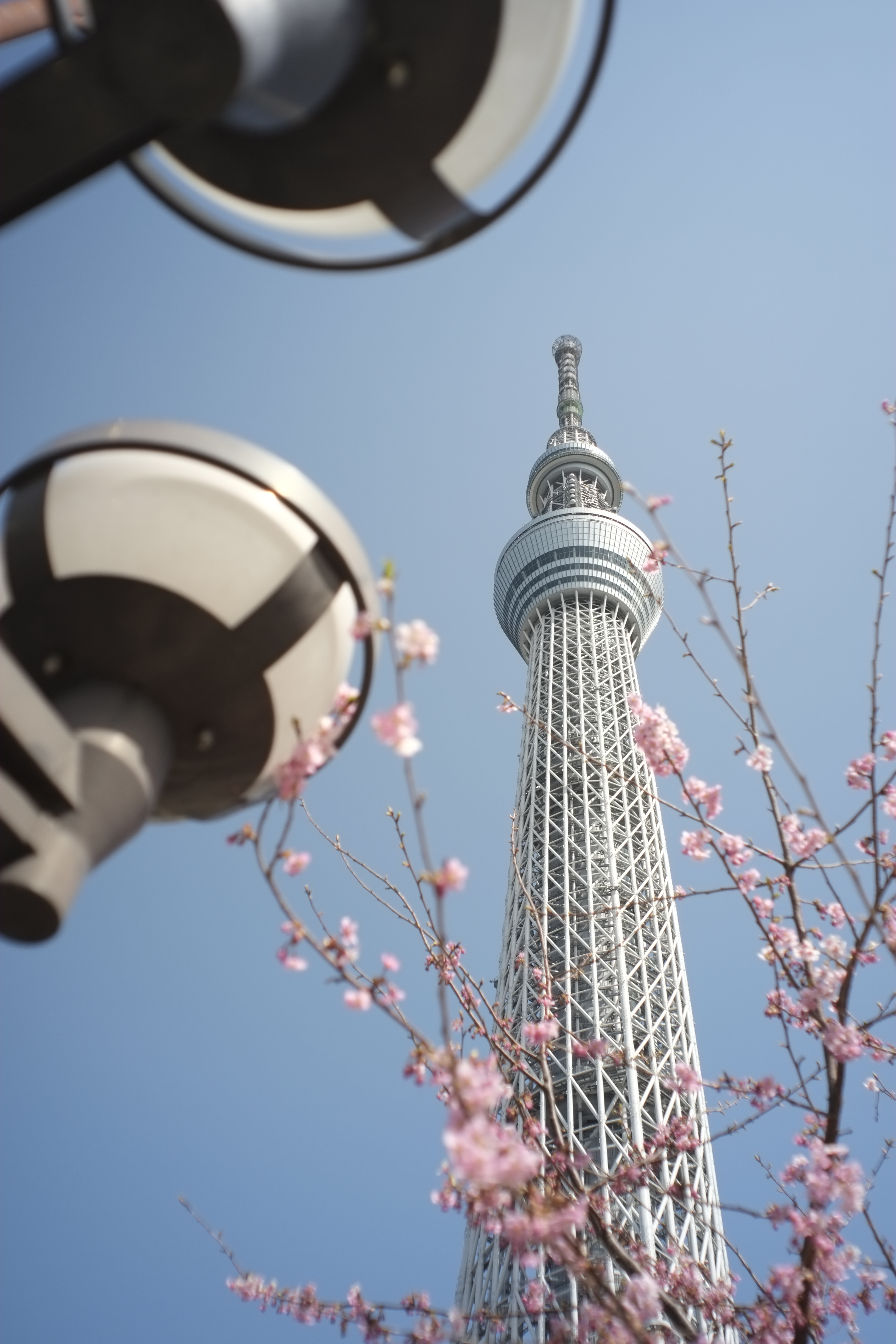 <b>X-Pro1 / Biogon T* 21mm F2.8 / 4,896×3,264 / 1/2,200秒 / F2.8 / 0EV / ISO200 / WB:オート / 21mm</b>