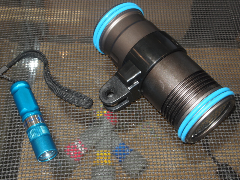 <b>ビデオ向け（右）LEDライトは情報表示用のモニターも備えた本格モデル。左のコンパクトタイプは、コンパクトながら100mの水深に耐える造り。いずれもプロトタイプ</b>