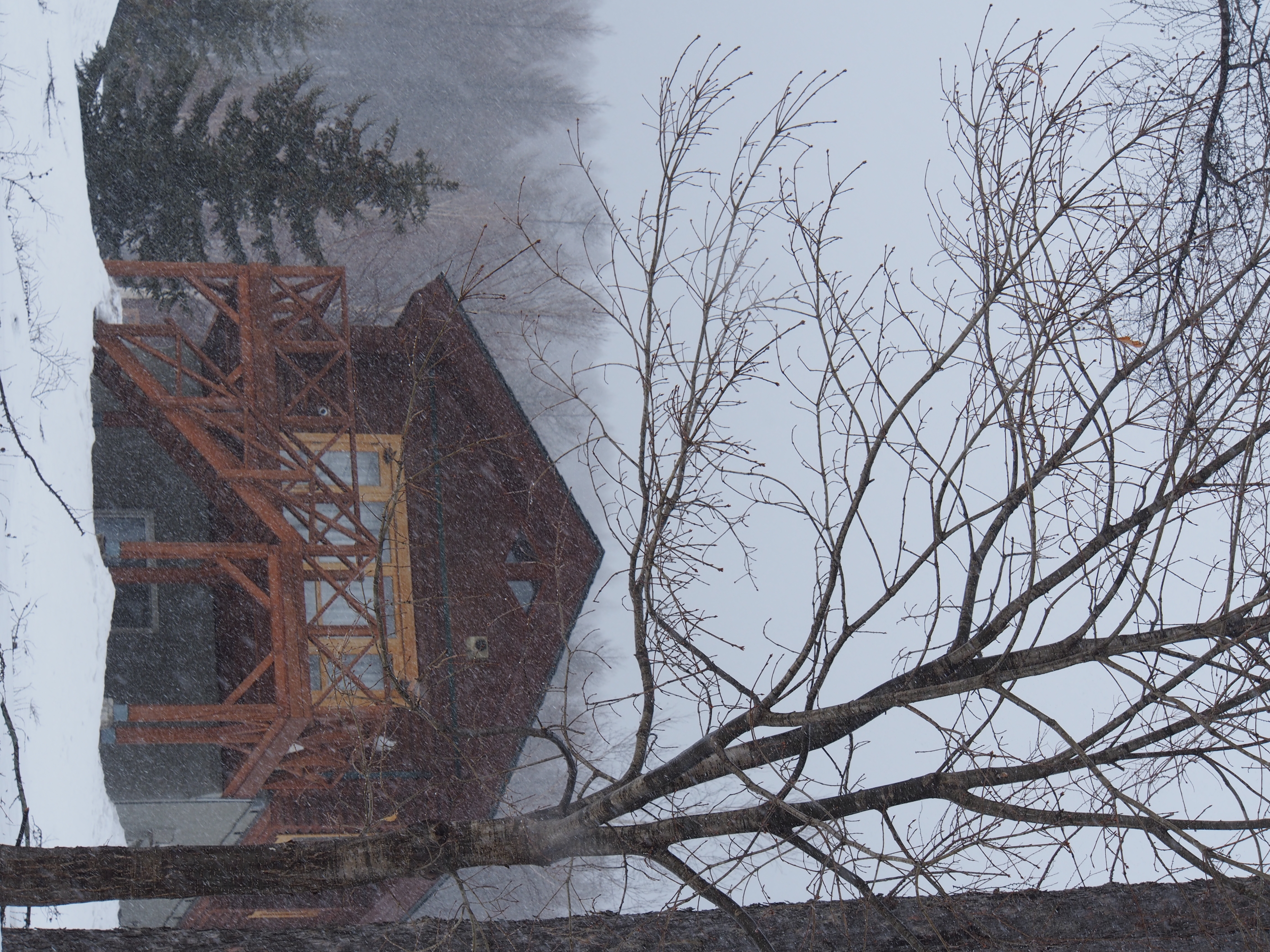 <b>E-M5 / M.ZUIKO DIGITAL ED 12-50mm F3.5-6.3 EZ10.2MB / 3,456×4,608 / 1/200秒 / F8 / +1.0EV / ISO200 / WB:晴天 / 50mm</b>