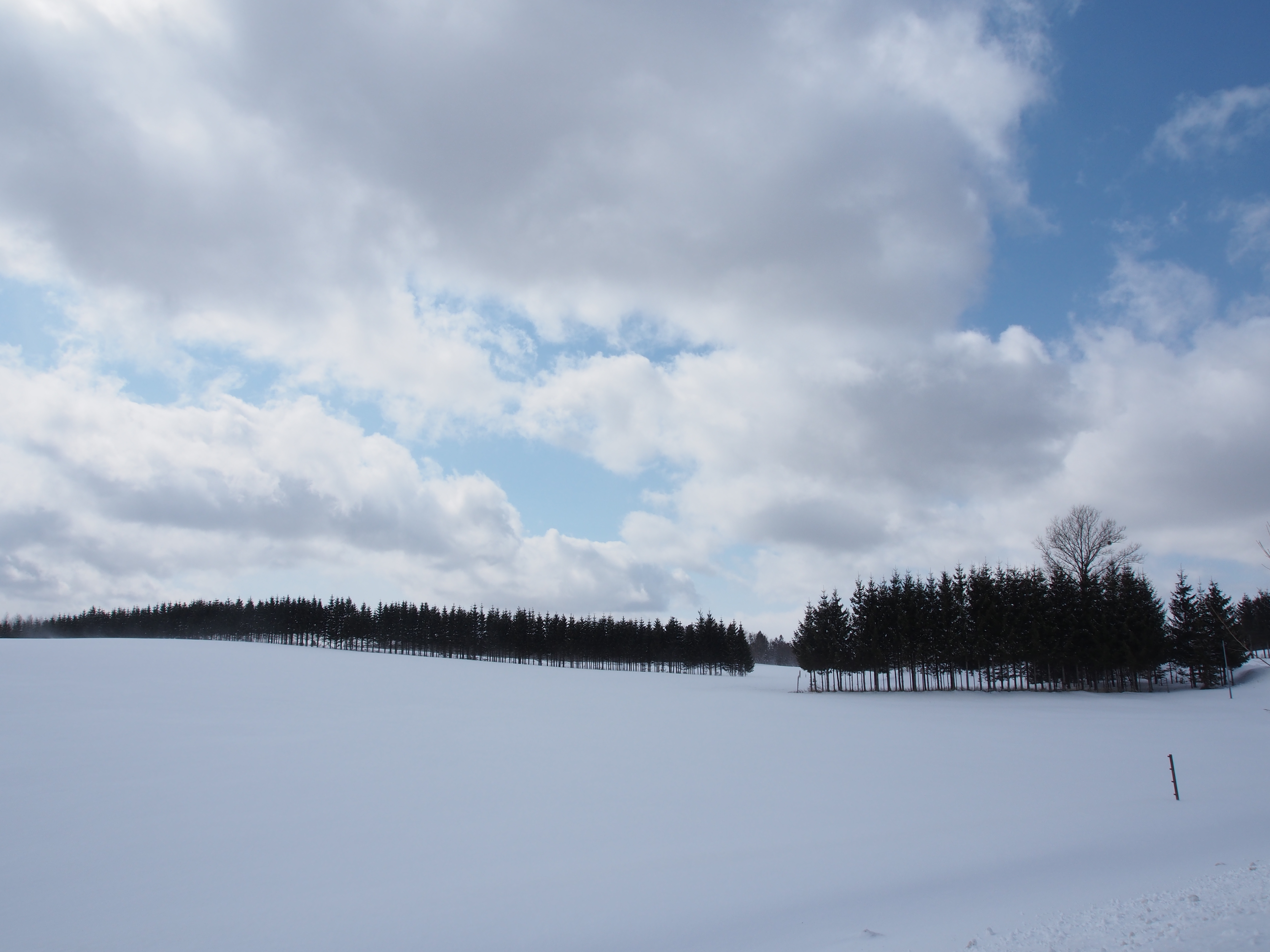 <b>E-M5 / M.ZUIKO DIGITAL ED 12-50mm F3.5-6.3 EZ6.2MB / 4,608×3,456 / 1/1,250秒 / F8 / +0.7EV / ISO200 / WB:オート / 12mm</b>