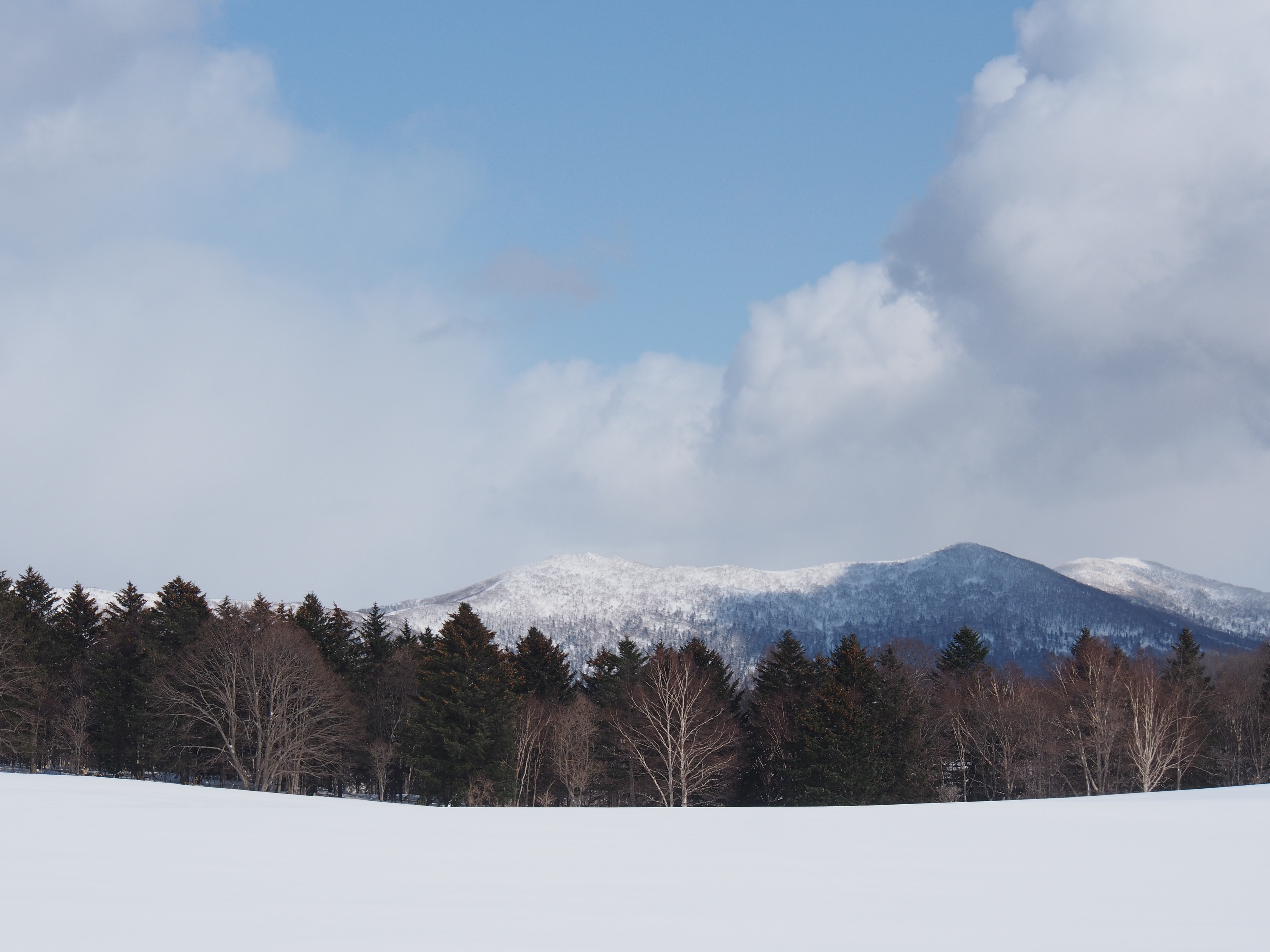 <b>E-M5 / M.ZUIKO DIGITAL ED 12-50mm F3.5-6.3 EZ6.9MB / 4,608×3,456 / 1/1,000秒 / F8 / +0.3EV / ISO200 / WB:オート / 50mm</b>