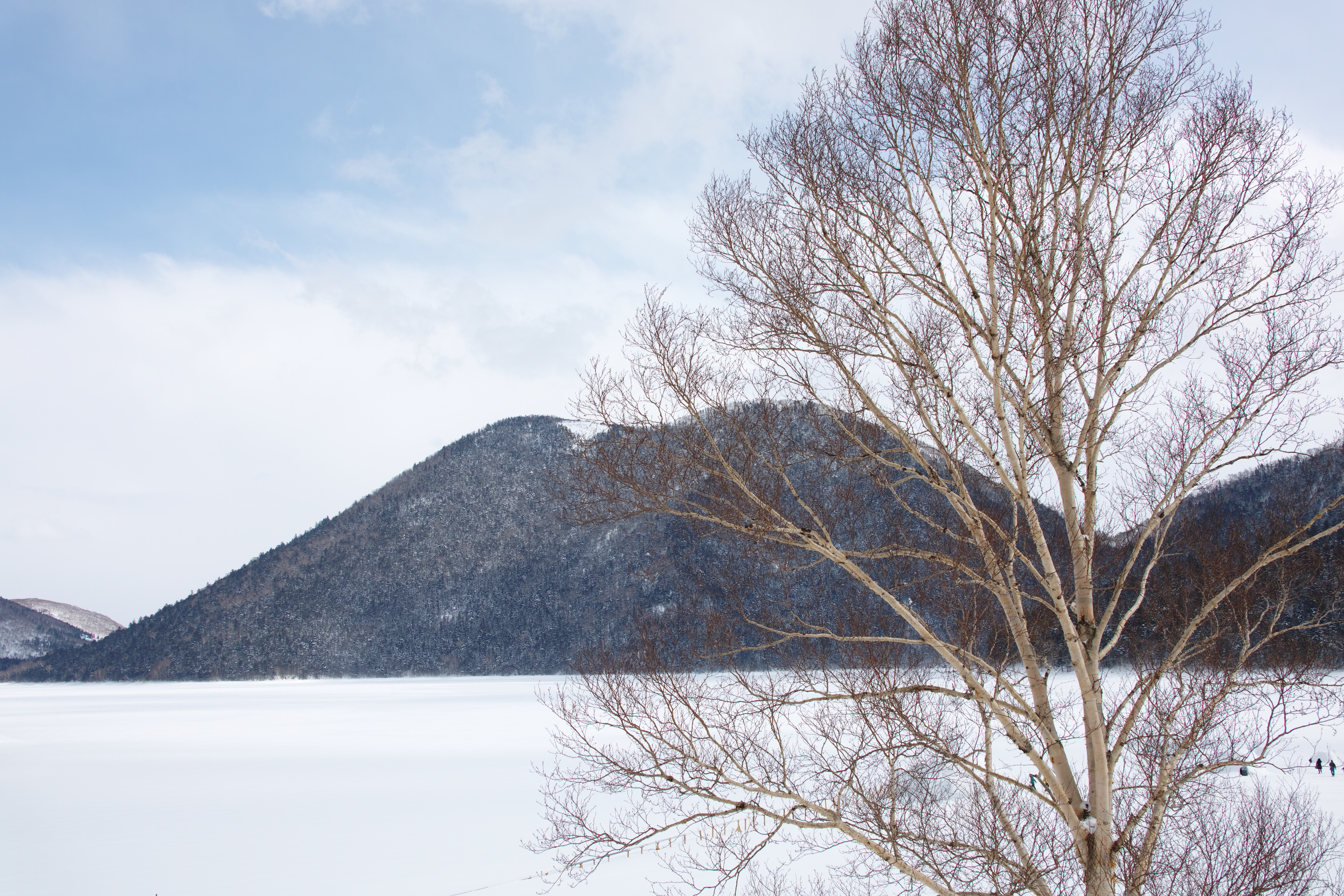 <b>北海道で最も標高の高い場所にある然別湖。火山の噴火で川が塞き止められできたという。夏は深い自然のなかで静かに佇み、冬は厳しい寒さによって湖面が結氷する。夜、湖上にひとり立ち星を見上げるのがなによりもよい。SD1 Merrill / 17-50mm F2.8 EX DC OS HSM / 約17.0MB / 4,704×3,136 / 1/250秒 / F8 / +0.7EV / ISO100 / 25mm</b>