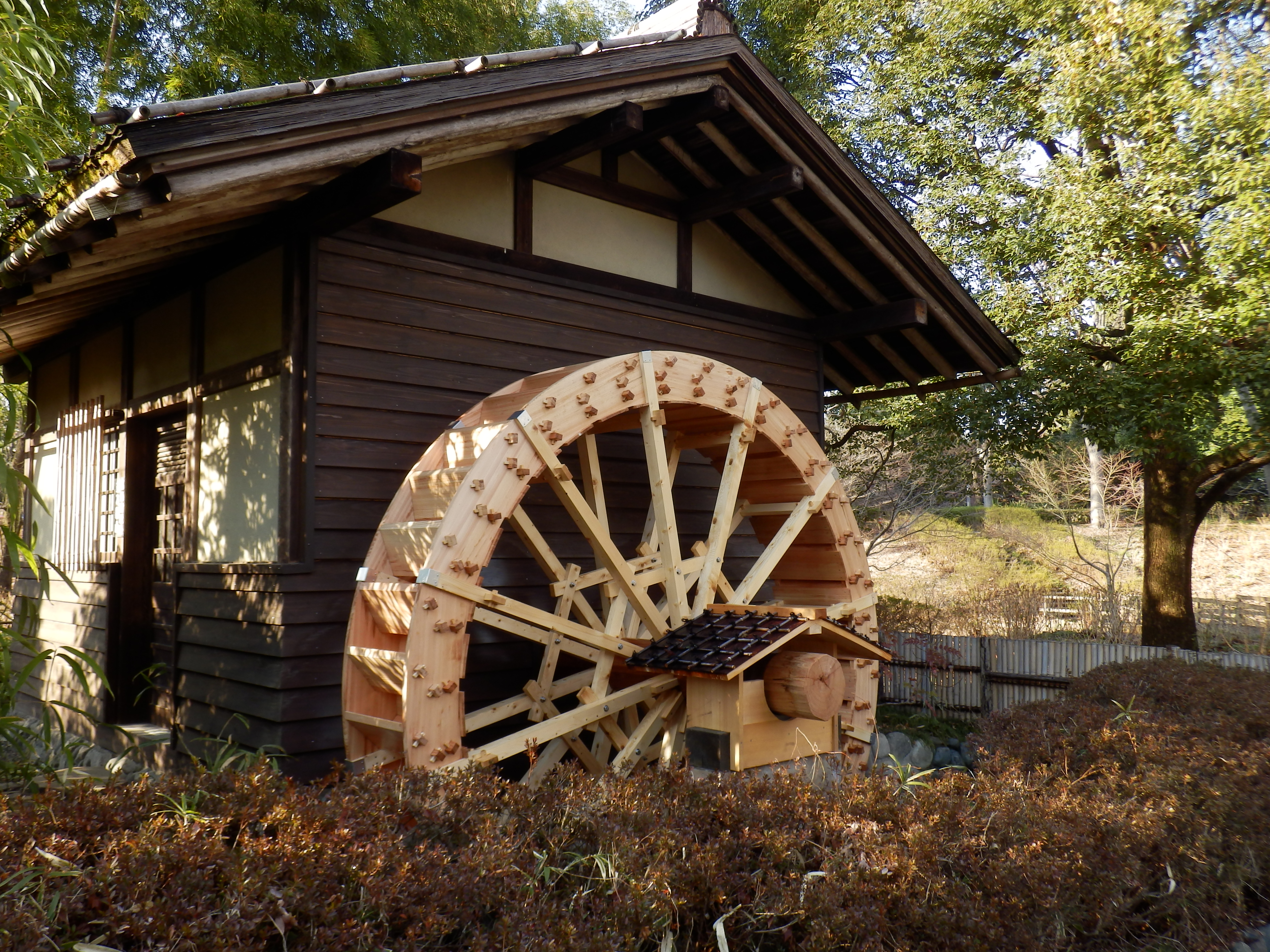 <b>SH-25MR / 約6.8MB / 4,608×3,456 / 1/80秒 / F3.7 / -0.7EV / ISO80 / WB:晴天 / 5.9mm</b>