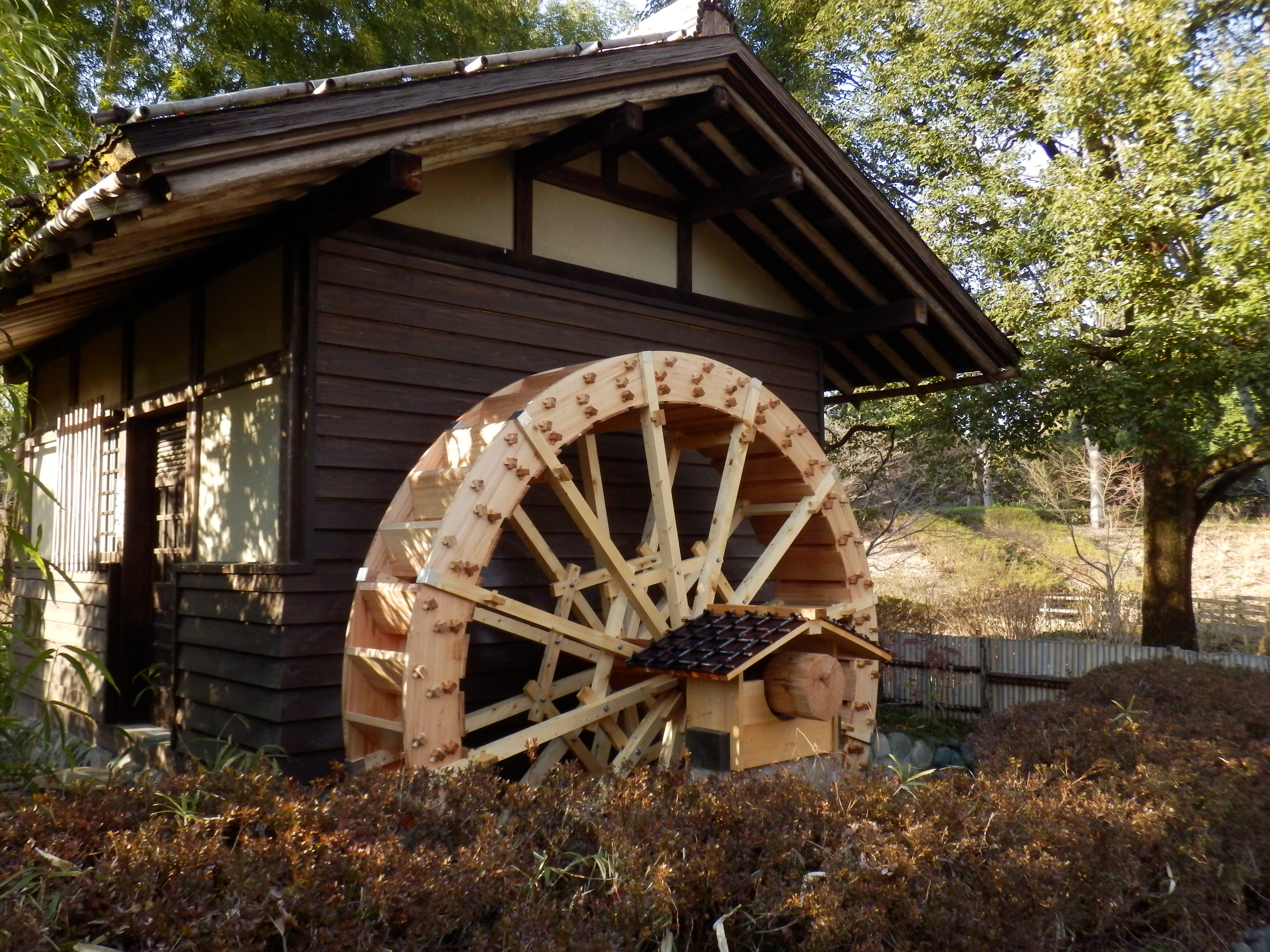 <b>SH-25MR / 約6.7MB / 4,608×3,456 / 1/400秒 / F3.7 / -0.7EV / ISO400 / WB:晴天 / 5.9mm</b>