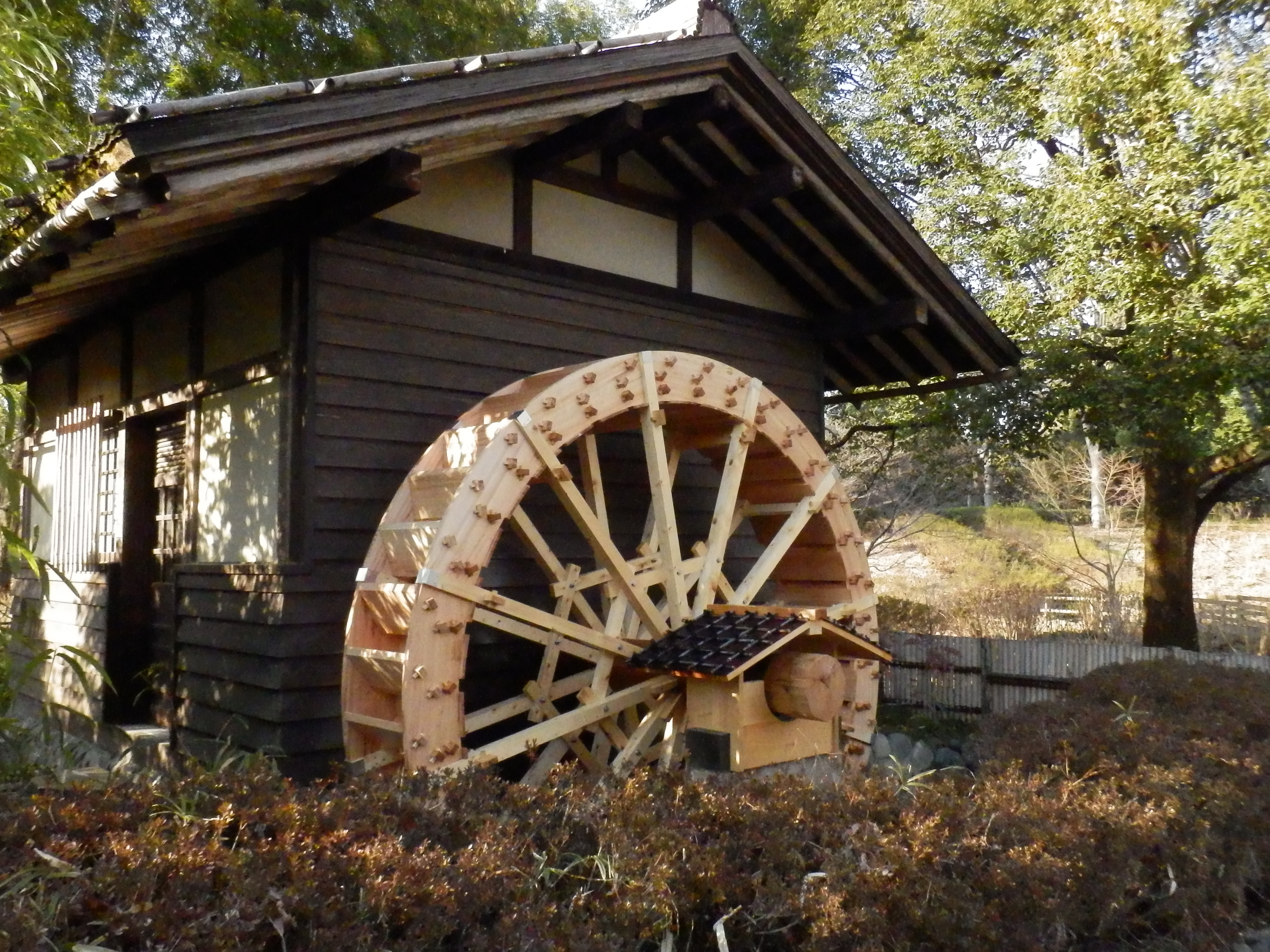 <b>SH-25MR / 約7.1MB / 4,608×3,456 / 1/400秒 / F9.4 / -0.7EV / ISO3200 / WB:晴天 / 5.9mm</b>