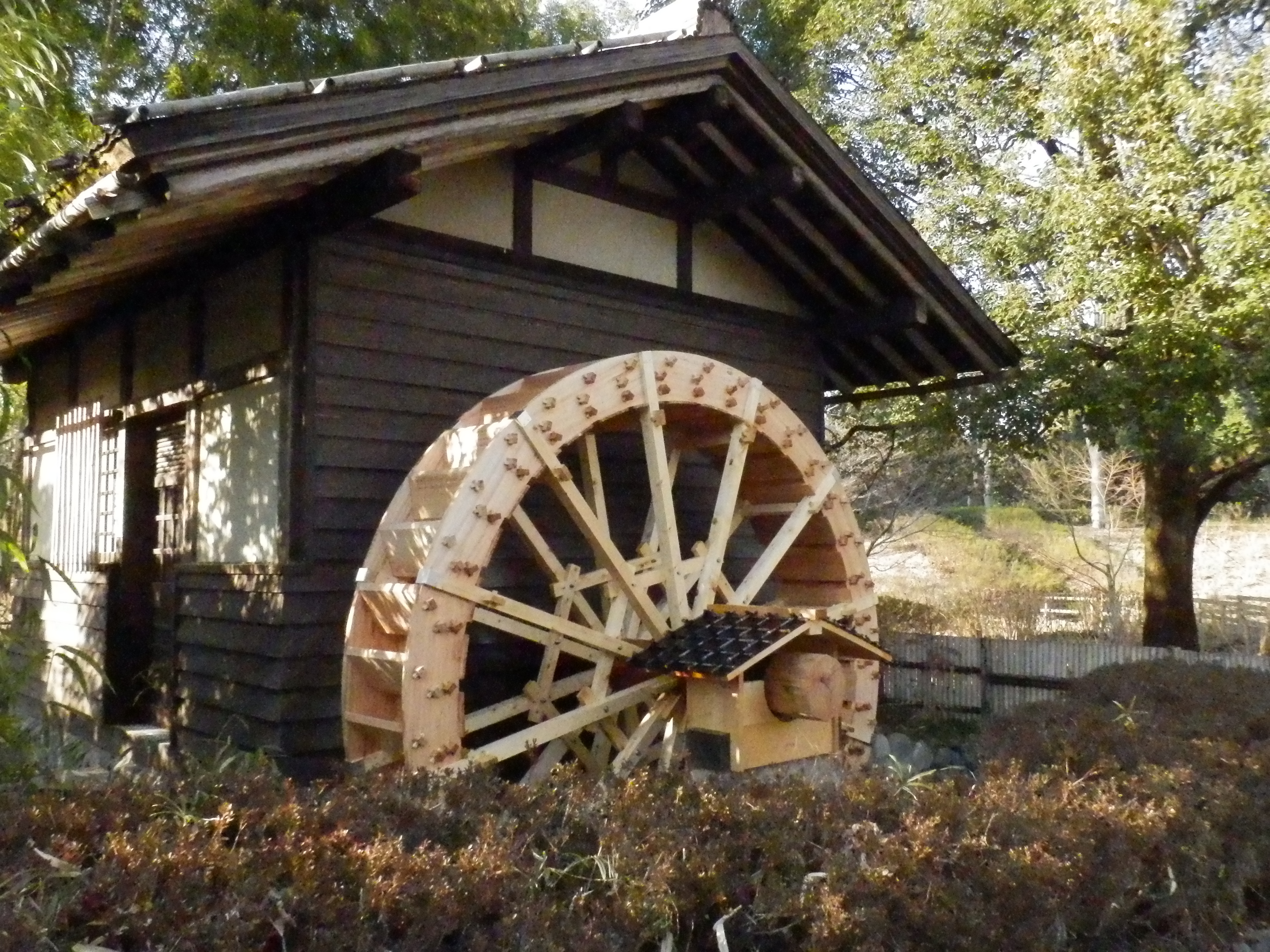 <b>SH-25MR / 約6.5MB / 4,608×3,456 / 1/800秒 / F9.4 / -0.7EV / ISO6400 / WB:晴天 / 5.9mm</b>