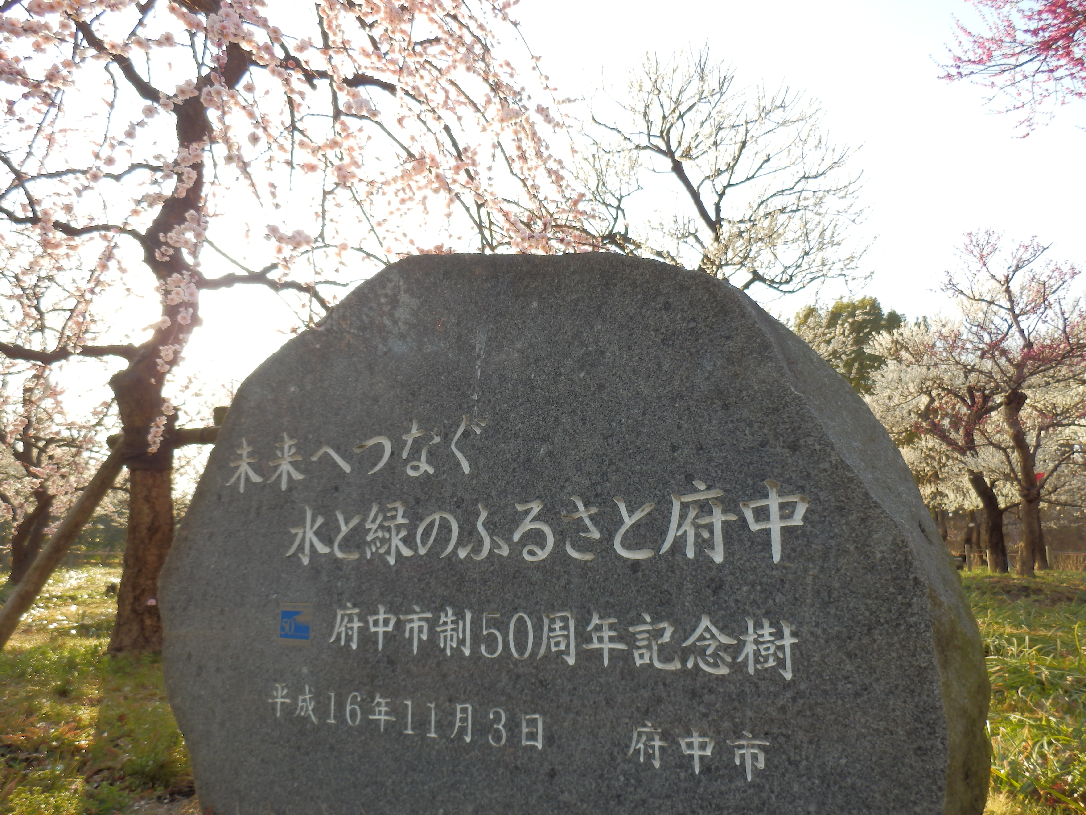 <b>通常撮影。SH-25MR / 約6.8MB / 4,608×3,456 / 1/200秒 / F3 / 0.0EV / ISO80 / WB:オート / 4.2mm</b>