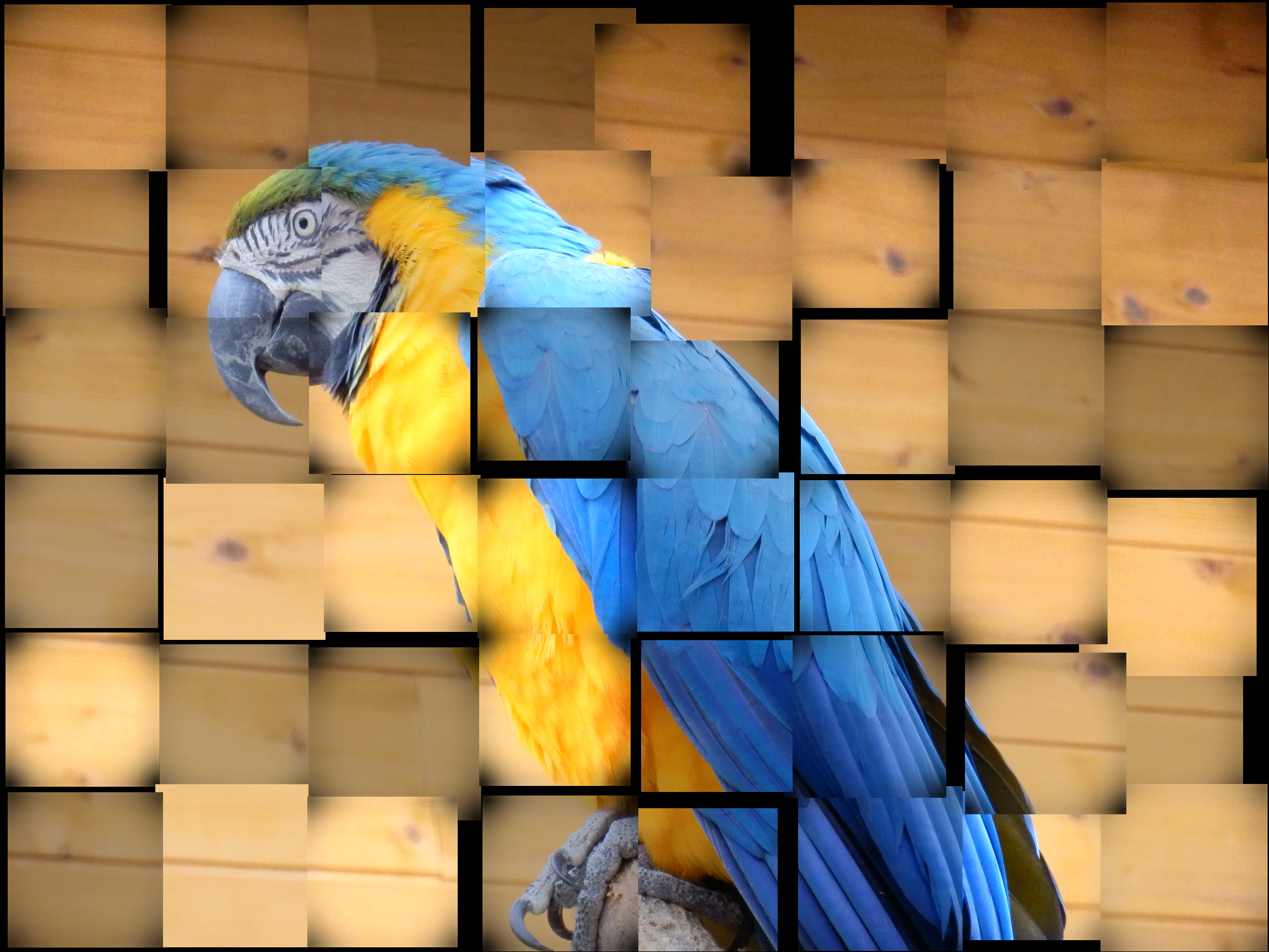 <b>マジックフィルター：ランダムタイル / SH-25MR / 約6.0MB / 4,608×3,456 / 1/160秒 / F5.8 / 0.0EV / ISO800 / WB:オート / 38.6mm</b>