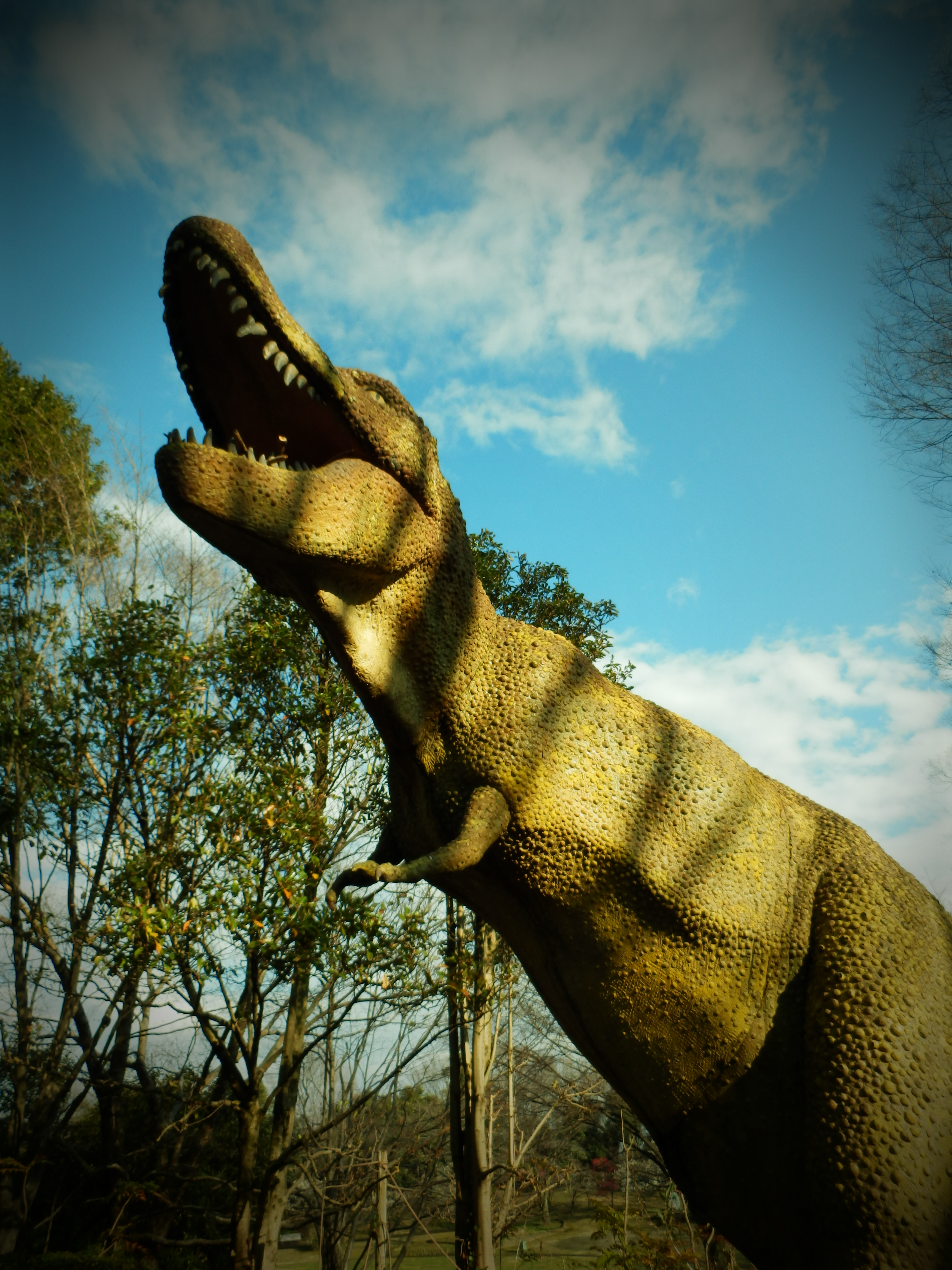 <b>マジックフィルター：ピンホール / SH-25MR / 約6.8MB / 3,456×4,608 / 1/640秒 / F3 / 0.0EV / ISO80 / WB:オート / 4.2mm</b>