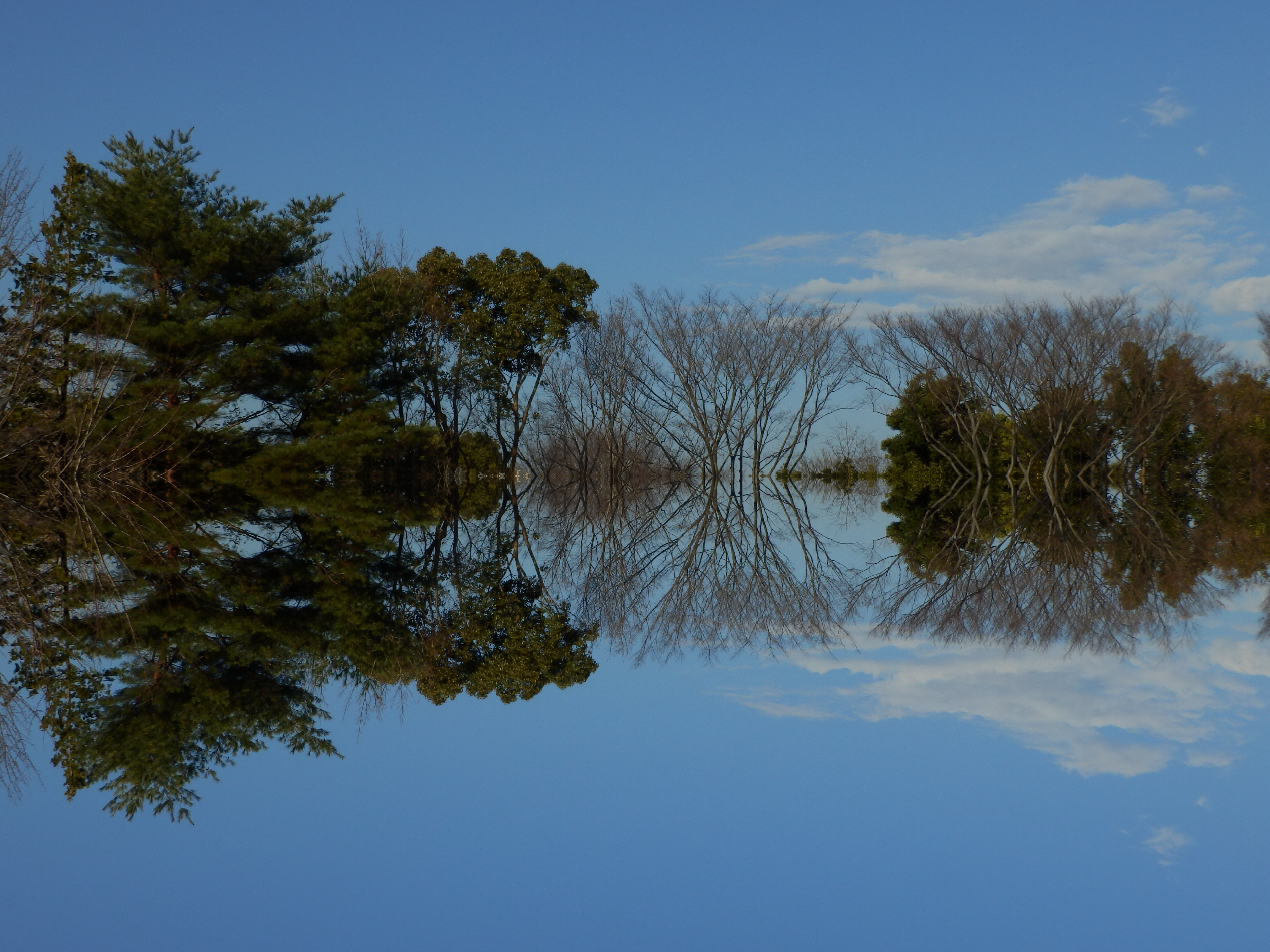 <b>マジックフィルター：ミラー / SH-25MR / 約5.9MB / 4,608×3,456 / 1/160秒 / F11.8 / -0.7EV / ISO80 / WB:オート / 11.1mm</b>