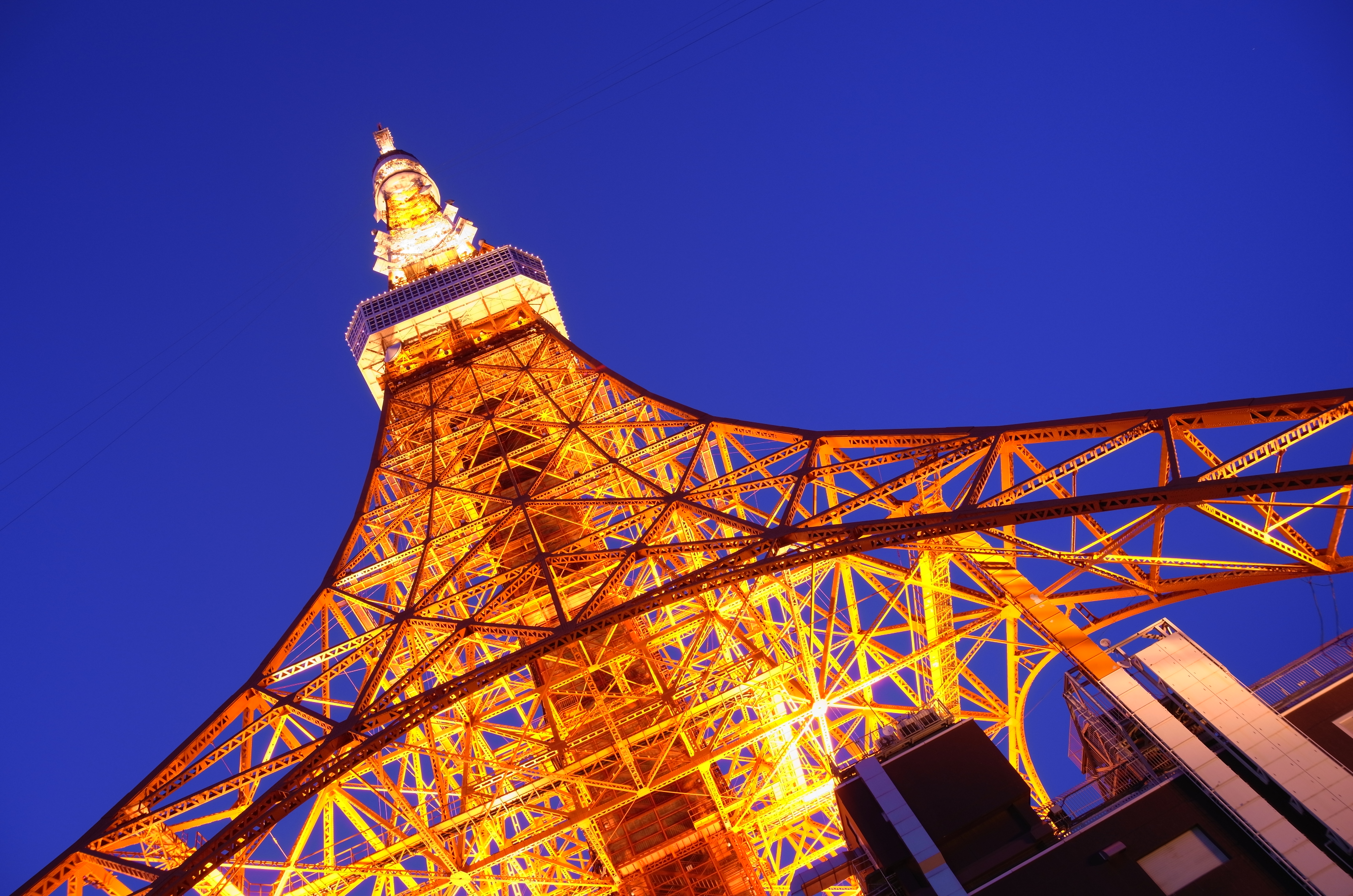 <b>ISO100（Lo）</b>