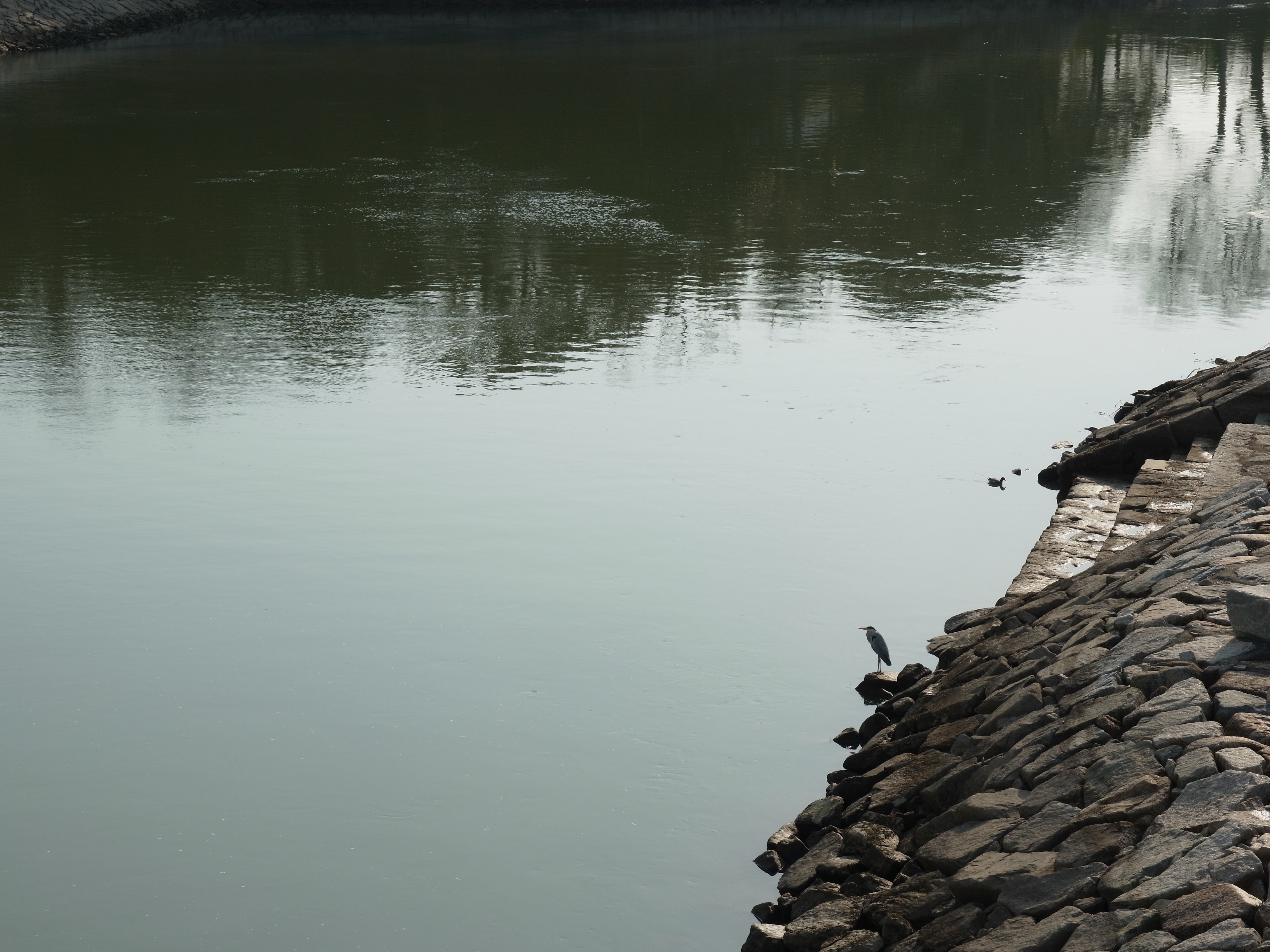 <b>GXR A16 / 約2.9MB / 4,352×3,264 / 1/400秒 / F10 / +0.3EV / ISO200 / 55.5mm</b>