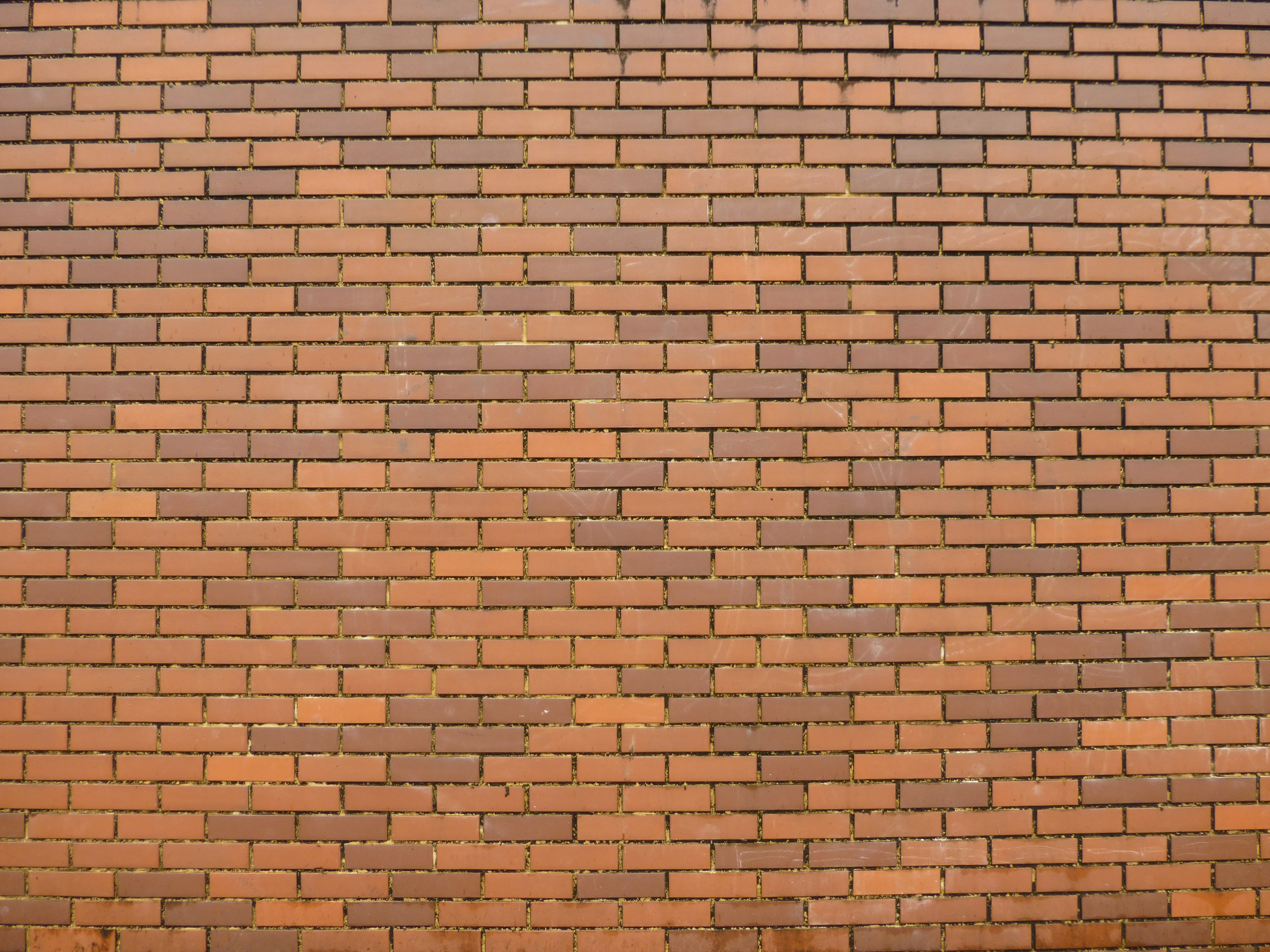 <b>広角端 / DMC-TZ30 / 約5.7MB / 4,320×3,240 / 1/100秒 / F3.3 / 0.0EV / ISO100 / WB:オート / 4.3mm</b>