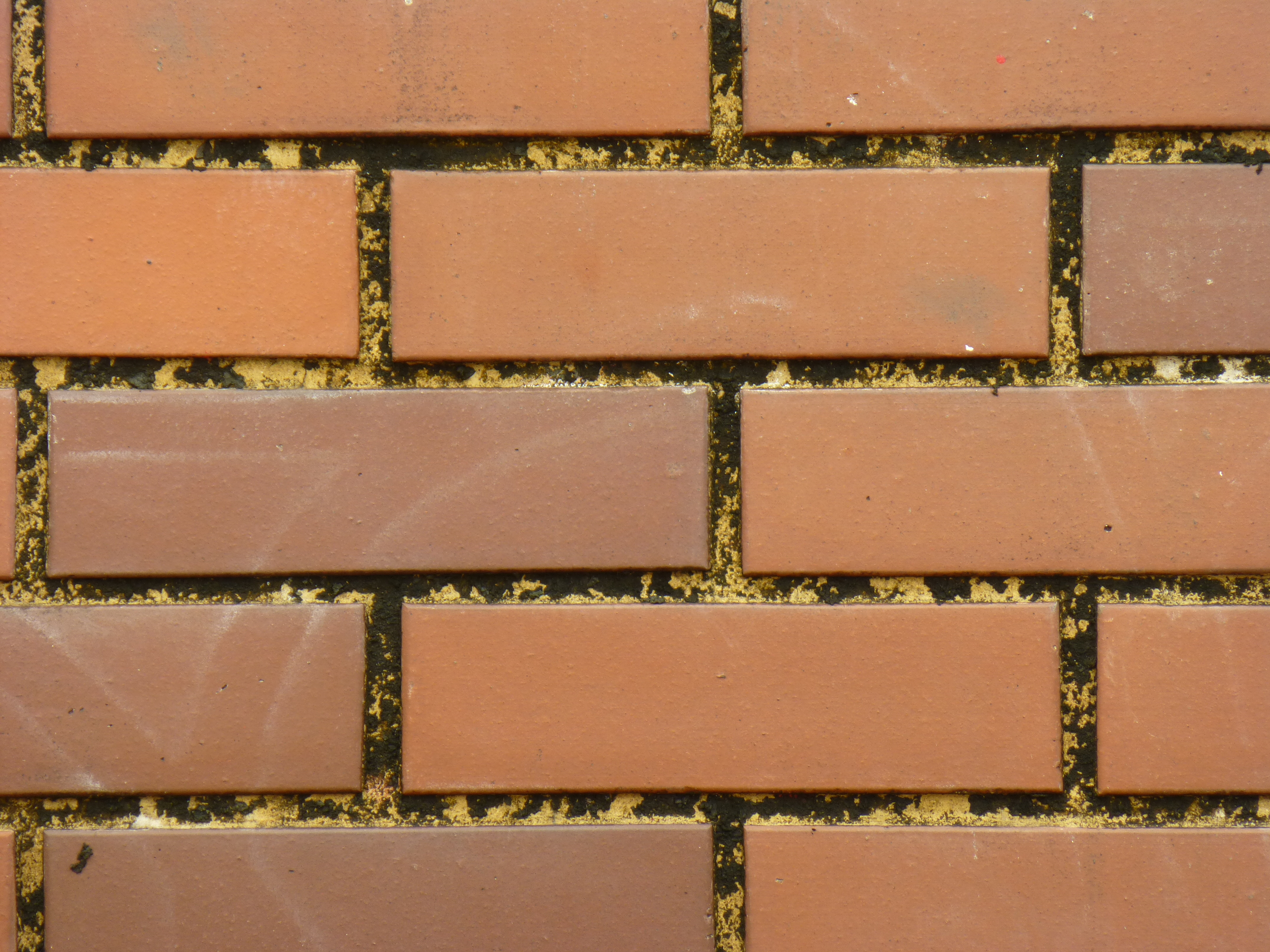 <b>望遠端 / DMC-TZ30 / 約5.3MB / 4,320×3,240 / 1/40秒 / F6.4 / 0.0EV / ISO100 / WB:オート / 86mm</b>