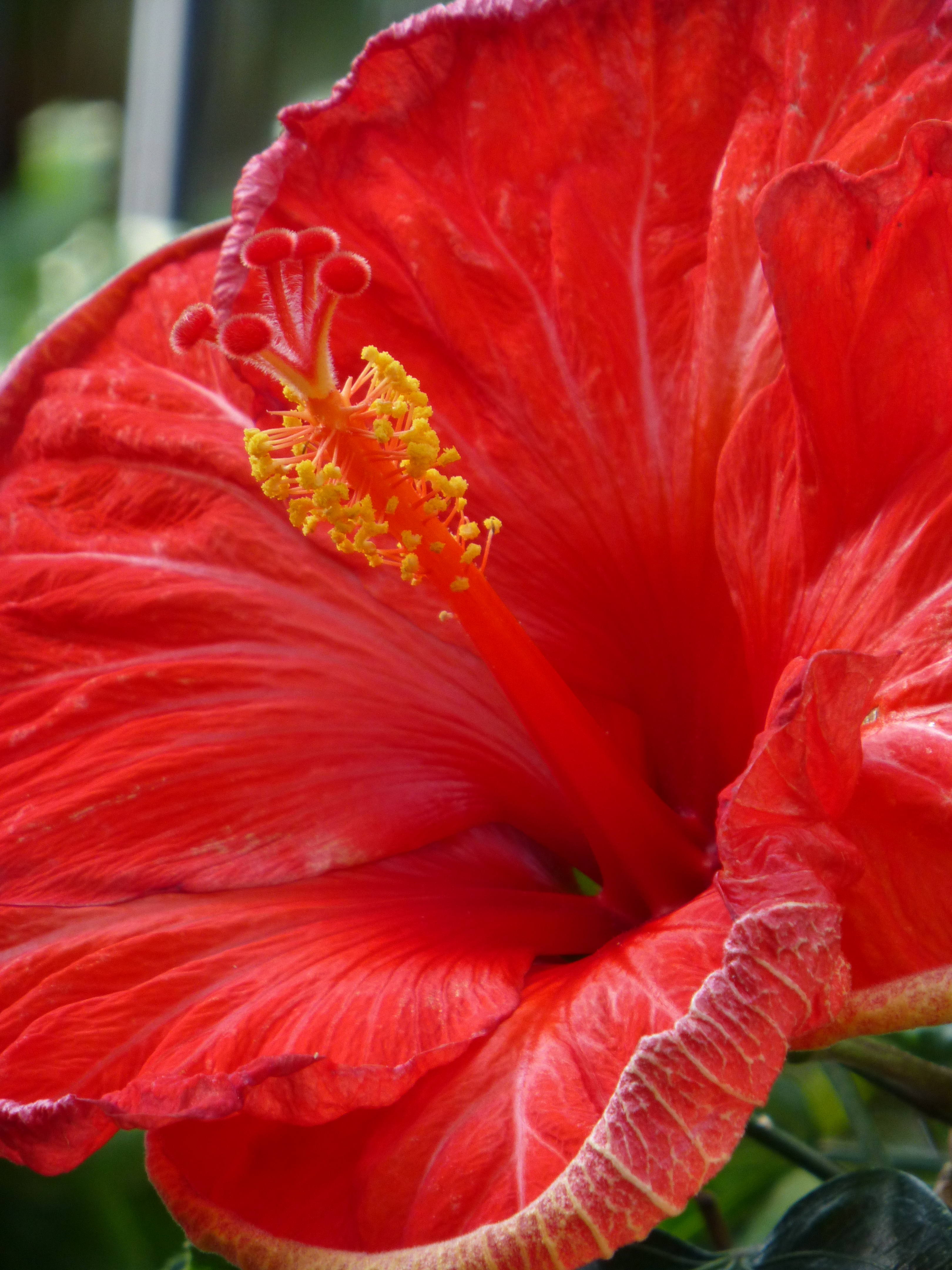 <b>DMC-TZ30 / 約4.7MB / 3,240×4,320 / 1/50秒 / F6.4 / -0.3EV / ISO200 / WB:オート / 86mm</b>