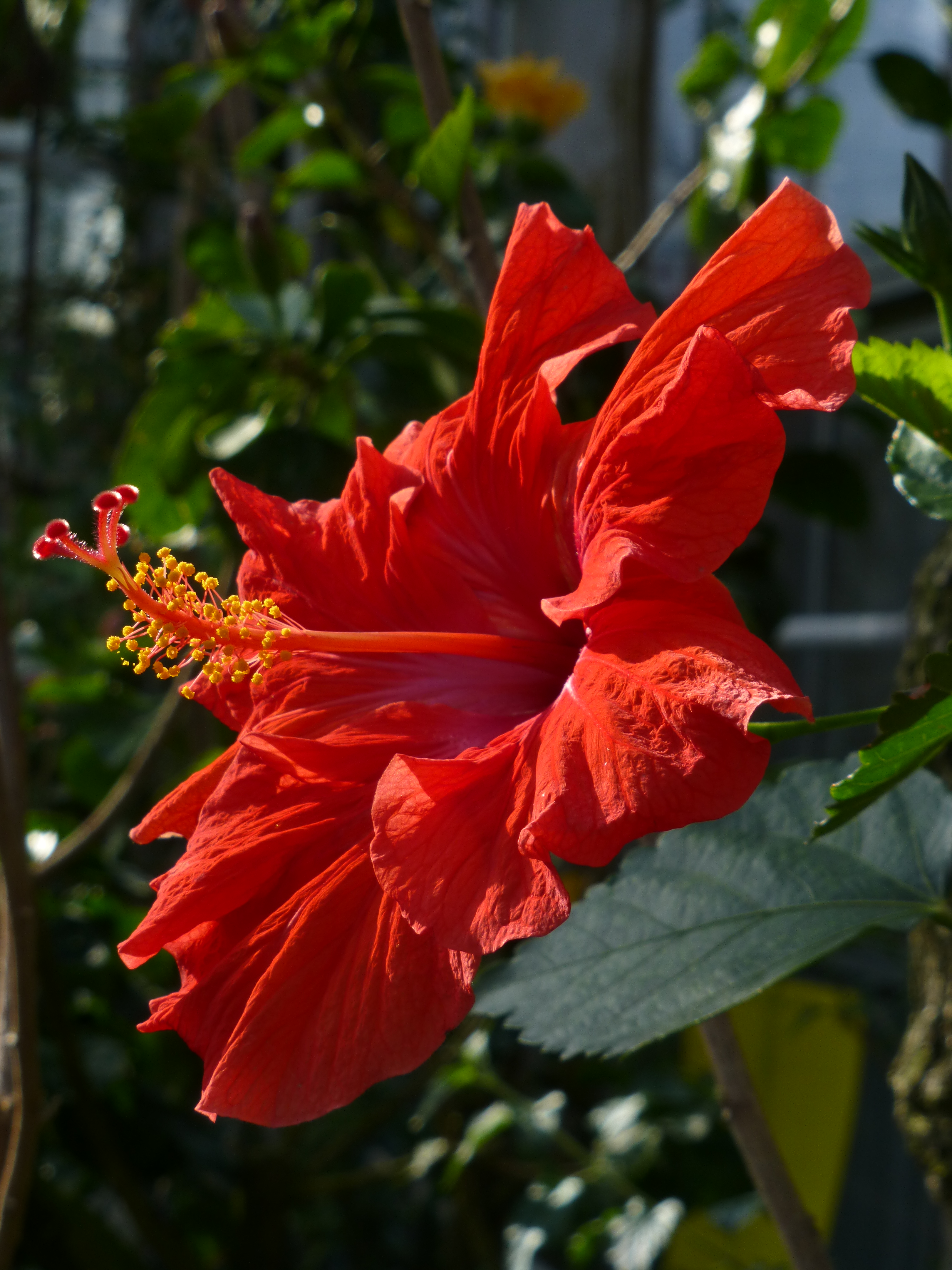 <b>DMC-TZ30 / 約4.7MB / 3,240×4,320 / 1/160秒 / F5.3 / -0.7EV / ISO100 / WB:オート / 18.2mm</b>