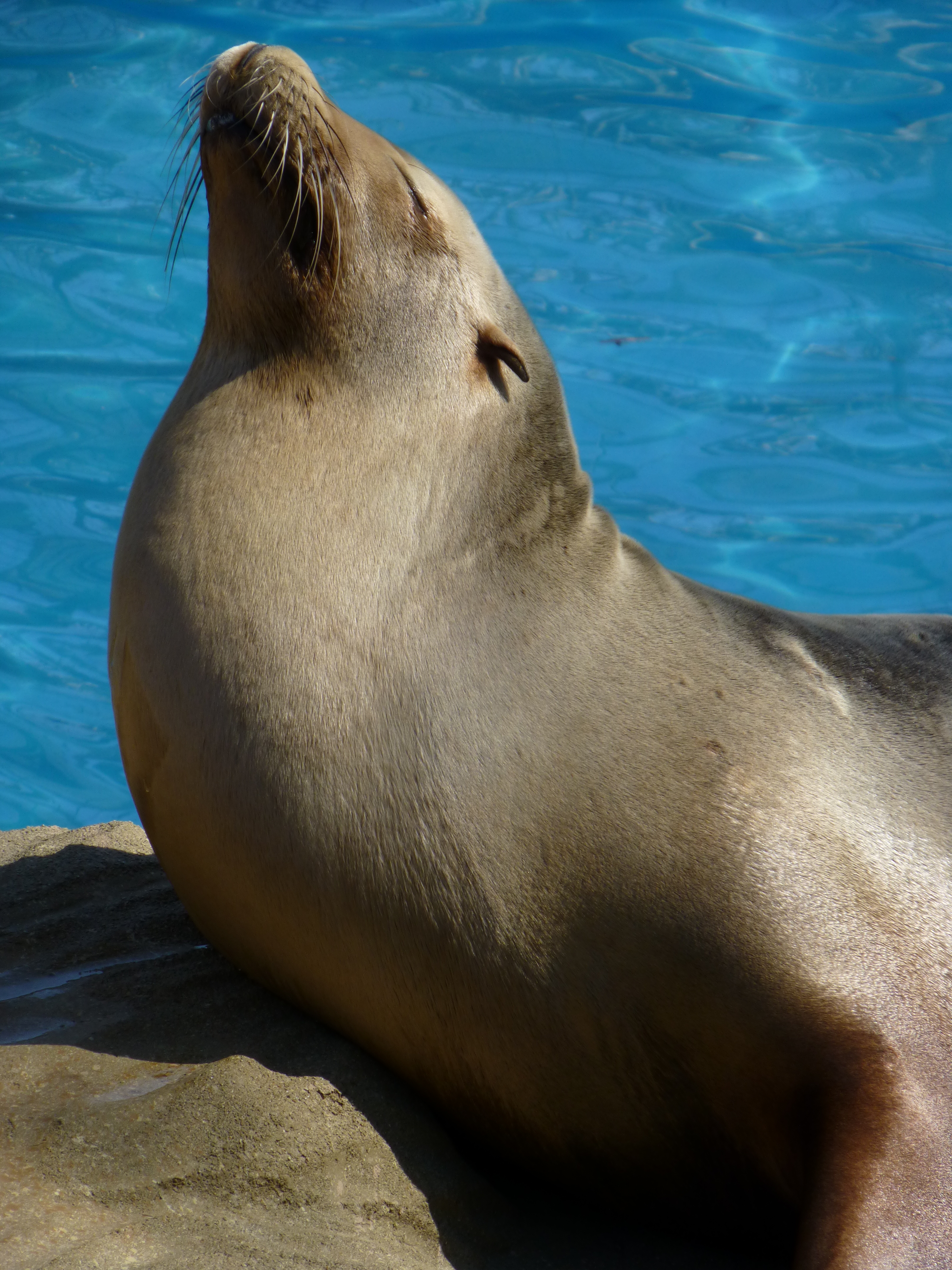 <b>DMC-TZ30 / 約4.6MB / 3,240×4,320 / 1/400秒 / F5.9 / -0.3EV / ISO100 / WB:オート / 55.7mm</b>