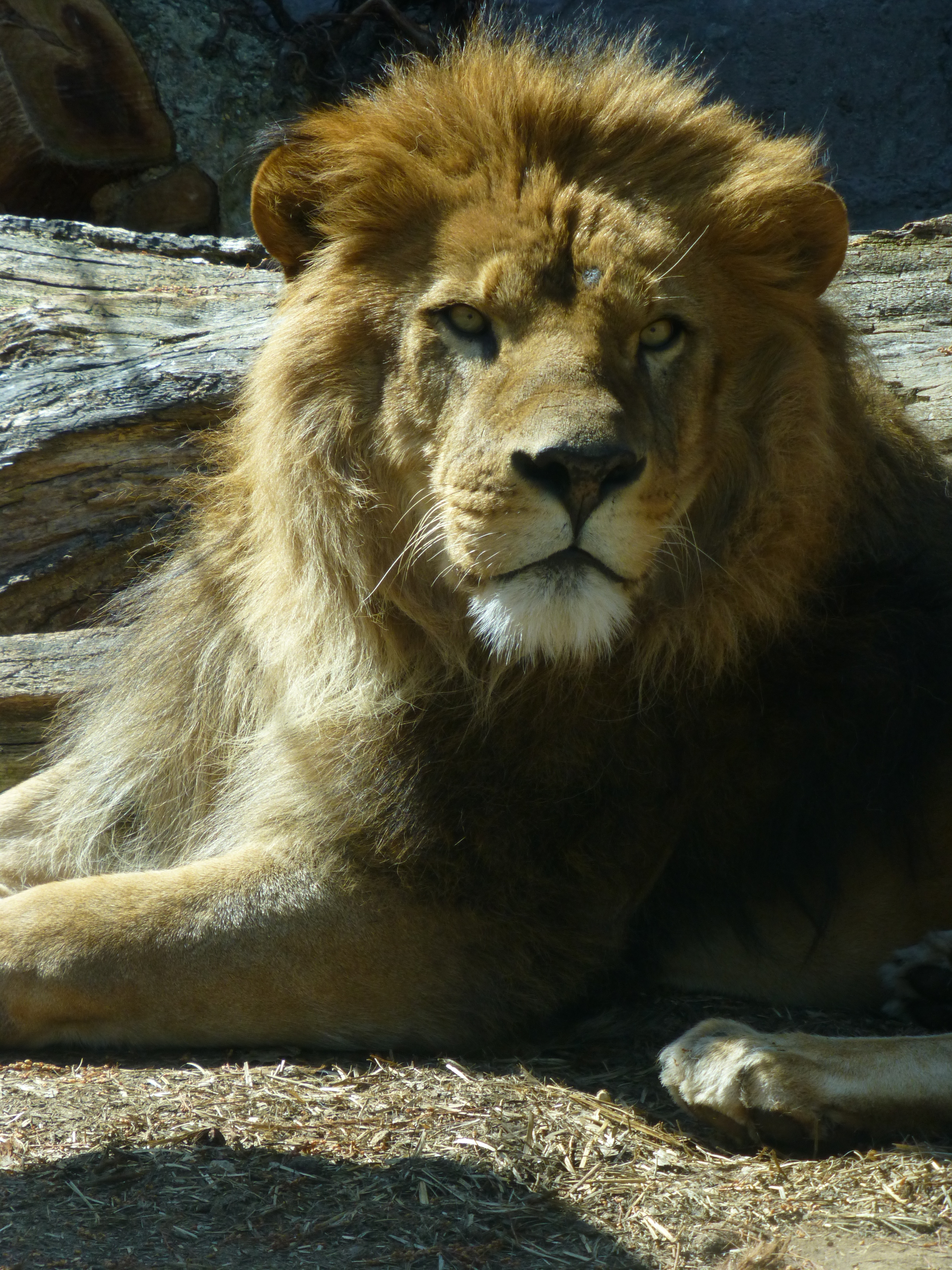 <b>DMC-TZ30 / 約4.9MB / 3,240×4,320 / 1/320秒 / F5.4 / -0.7EV / ISO200 / WB:オート / 27.6mm</b>