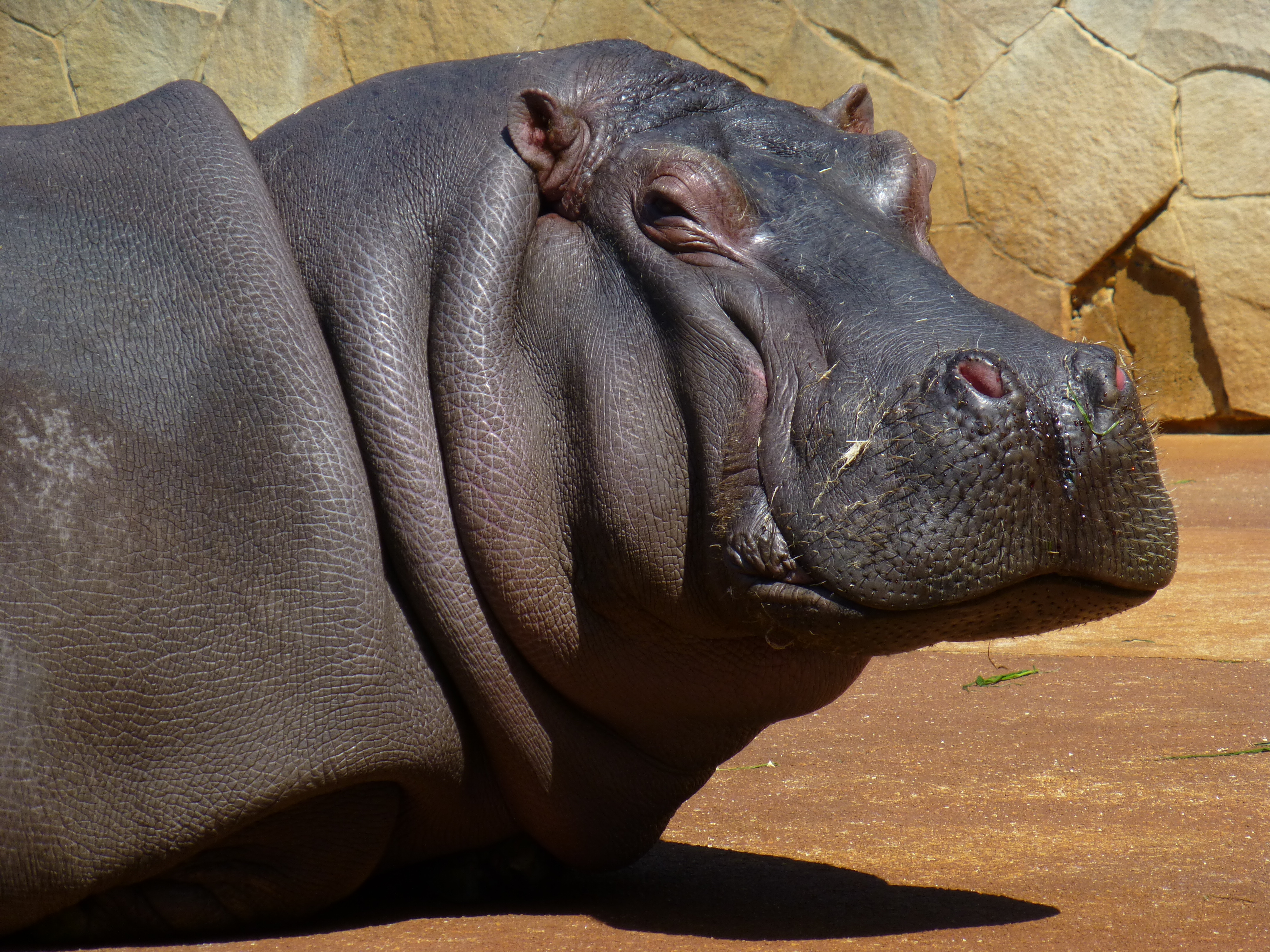 <b>DMC-TZ30 / 約5.0MB / 4,320×3,240 / 1/320秒 / F5.9 / -1.0EV / ISO100 / WB:オート / 60mm</b>