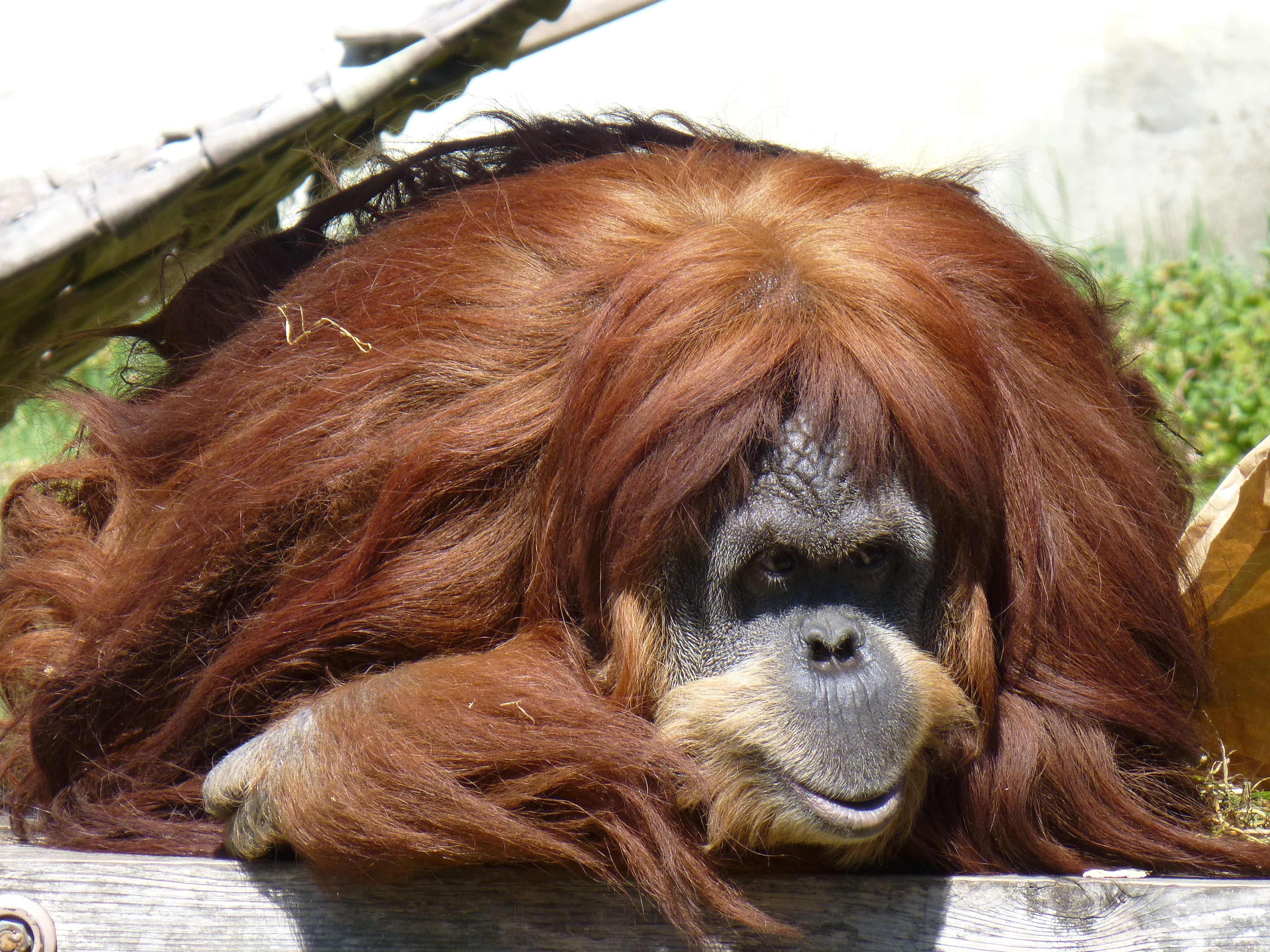 <b>DMC-TZ30 / 約5.8MB / 4,320×3,240 / 1/125秒 / F6.4 / -0.3EV / ISO100 / WB:オート / 86mm</b>