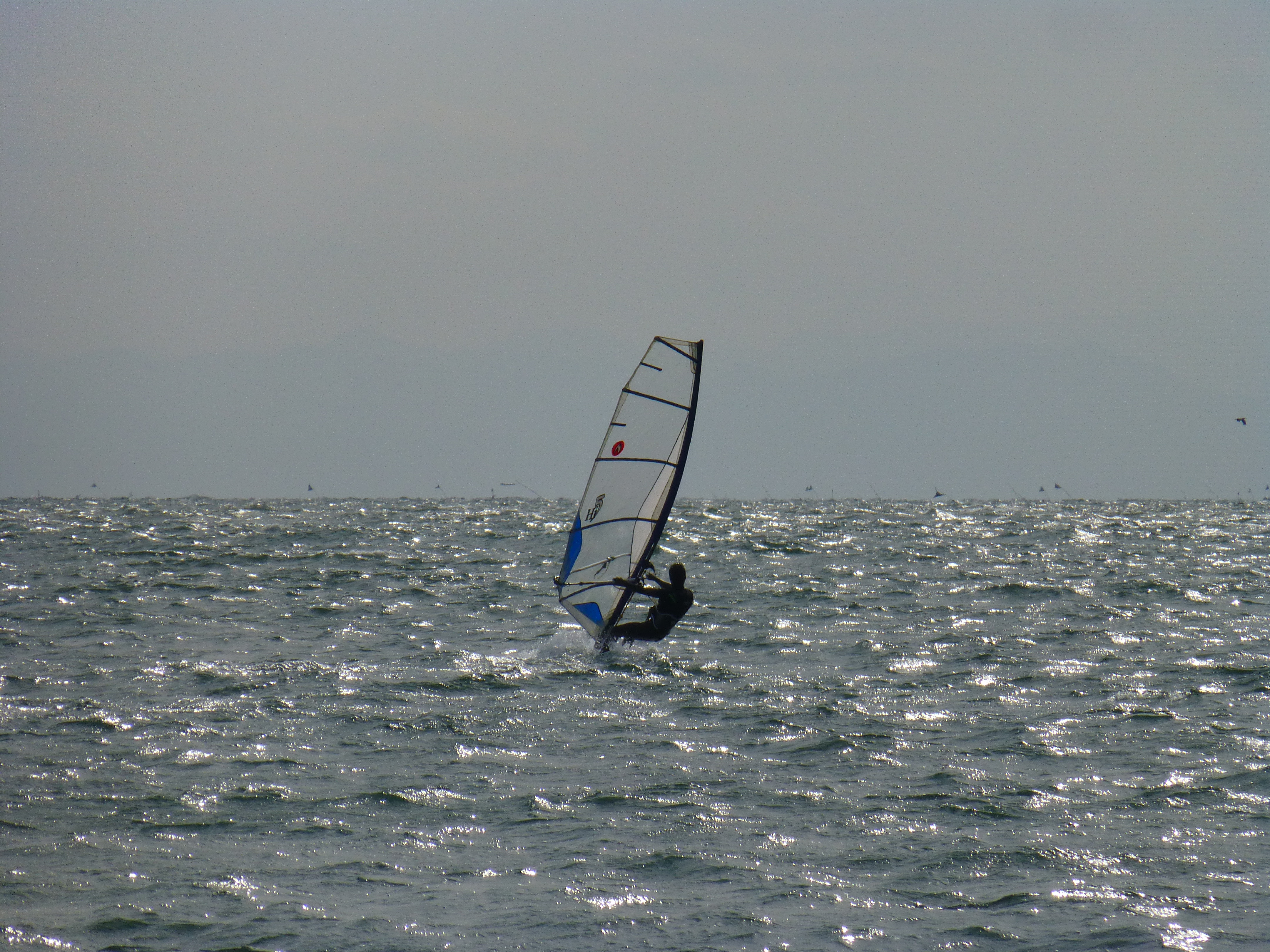 <b>DMC-TZ30 / 約5.5MB / 4,320×3,240 / 1/1,600秒 / F6.4 / -0.3EV / ISO100 / WB:オート / 86mm</b>