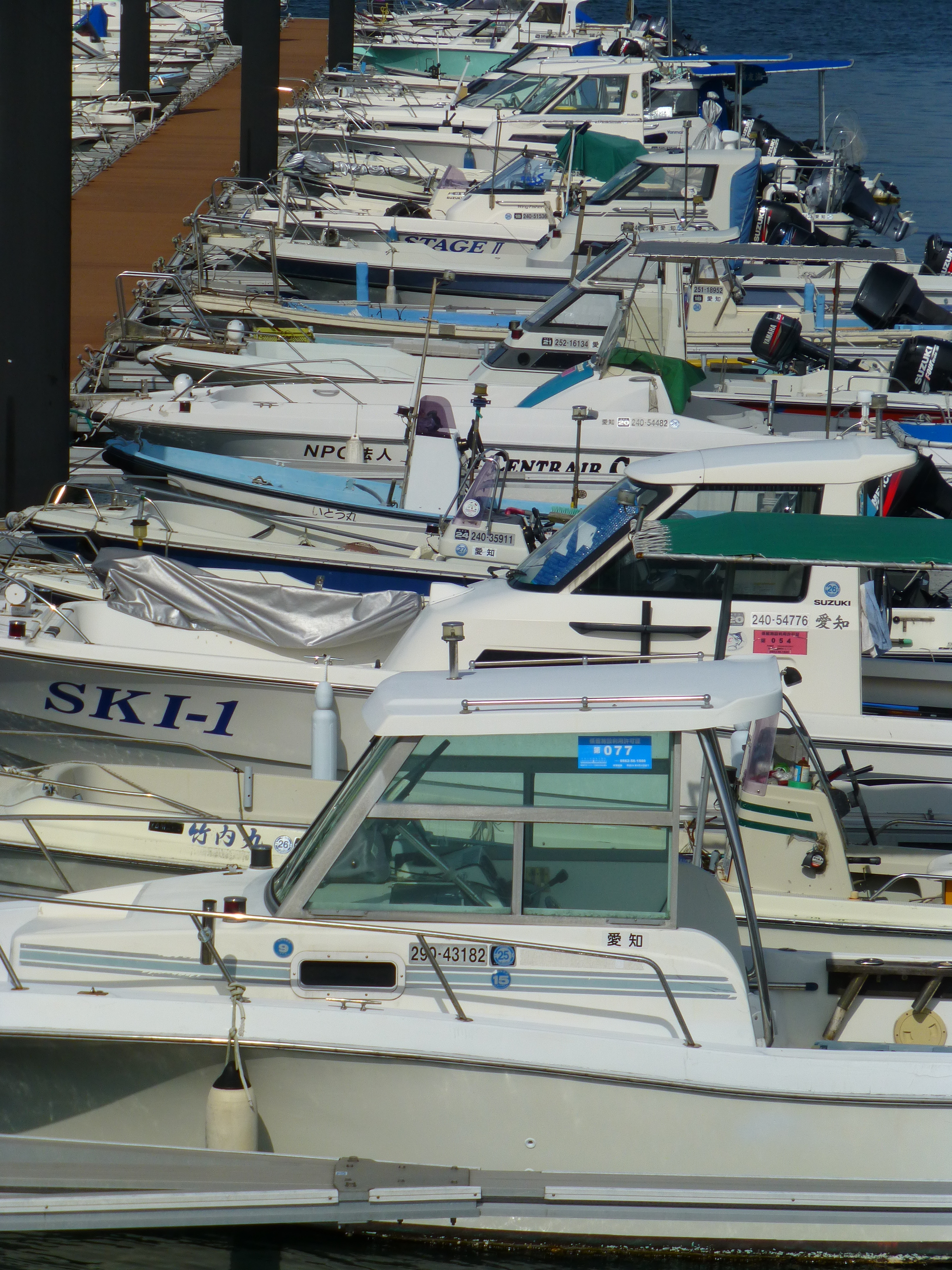 <b>DMC-TZ30 / 約4.8MB / 3,240×4,320 / 1/1,600秒 / F5.4 / +0.3EV / ISO100 / WB:オート / 27.6mm</b>